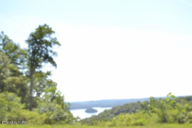 9.85AC Rock Springs Road Celina TN 38551