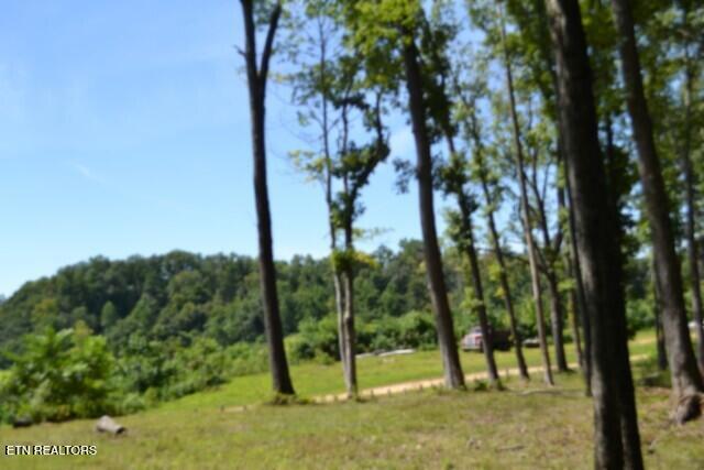 9.85AC Rock Springs Road Celina TN 38551