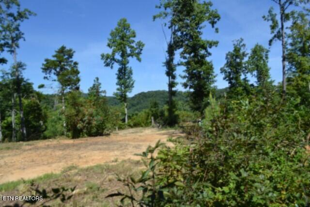 9.85AC Rock Springs Road Celina TN 38551