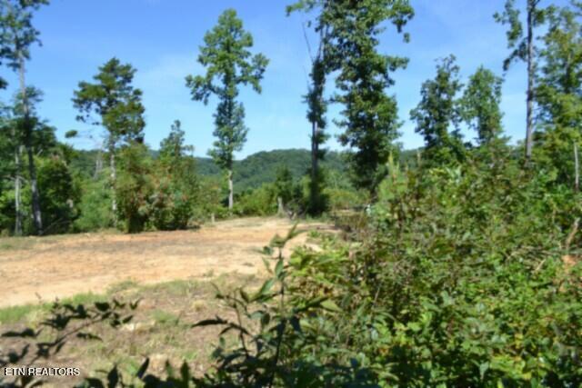9.85AC Rock Springs Road Celina TN 38551
