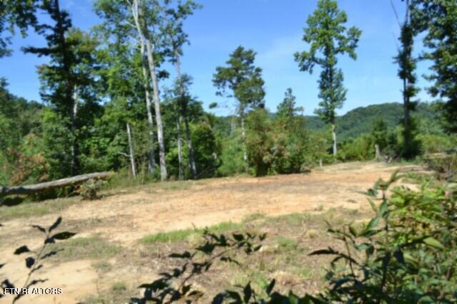 9.85AC Rock Springs Road Celina TN 38551