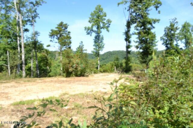 9.85AC Rock Springs Road Celina TN 38551