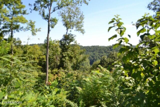 9.85AC Rock Springs Road Celina TN 38551