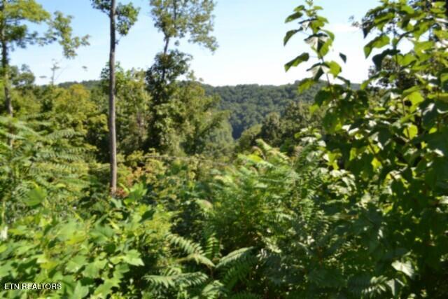 9.85AC Rock Springs Road Celina TN 38551