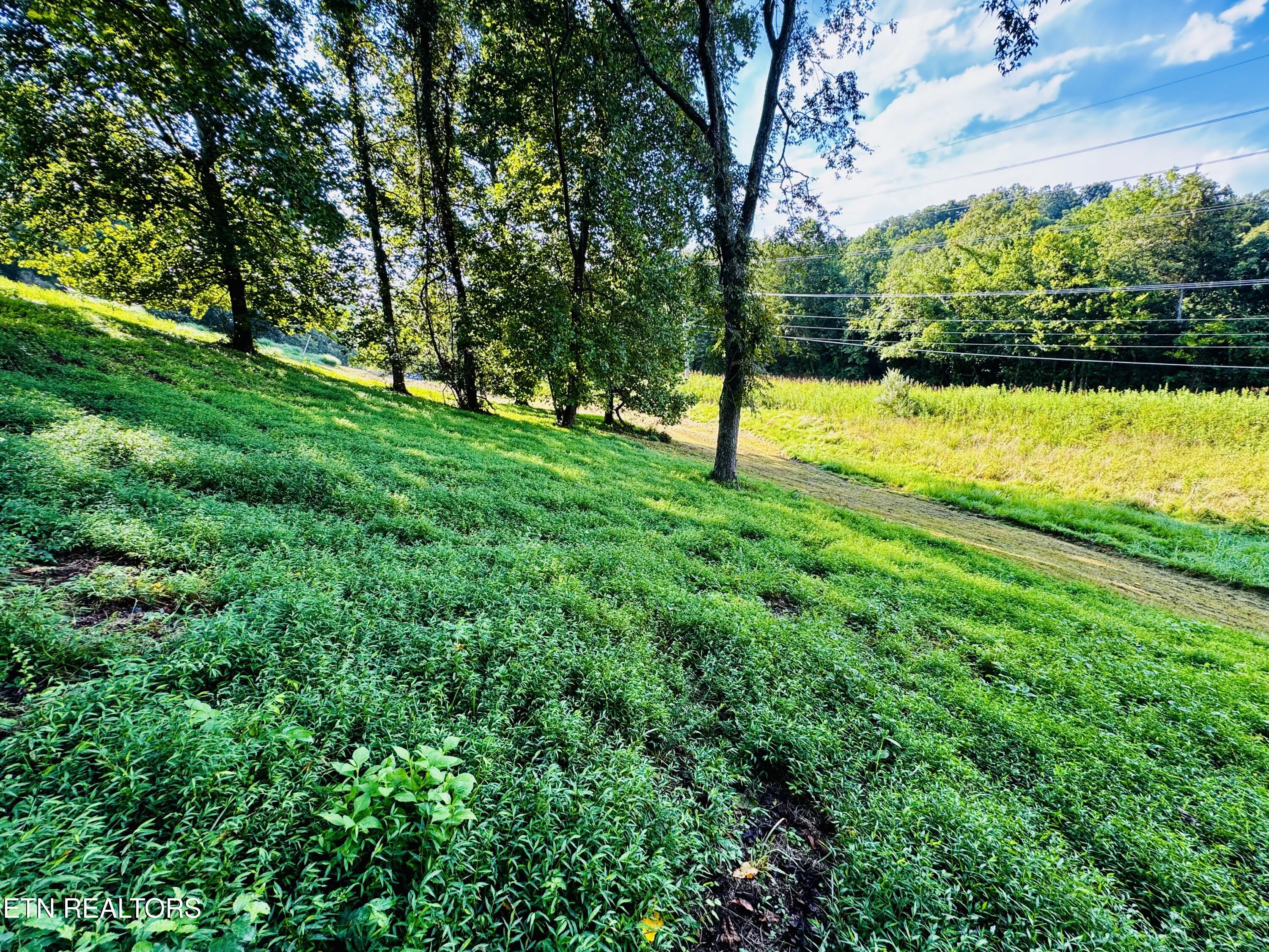 Lot 207 Clyde Ed Road Kodak TN 37764