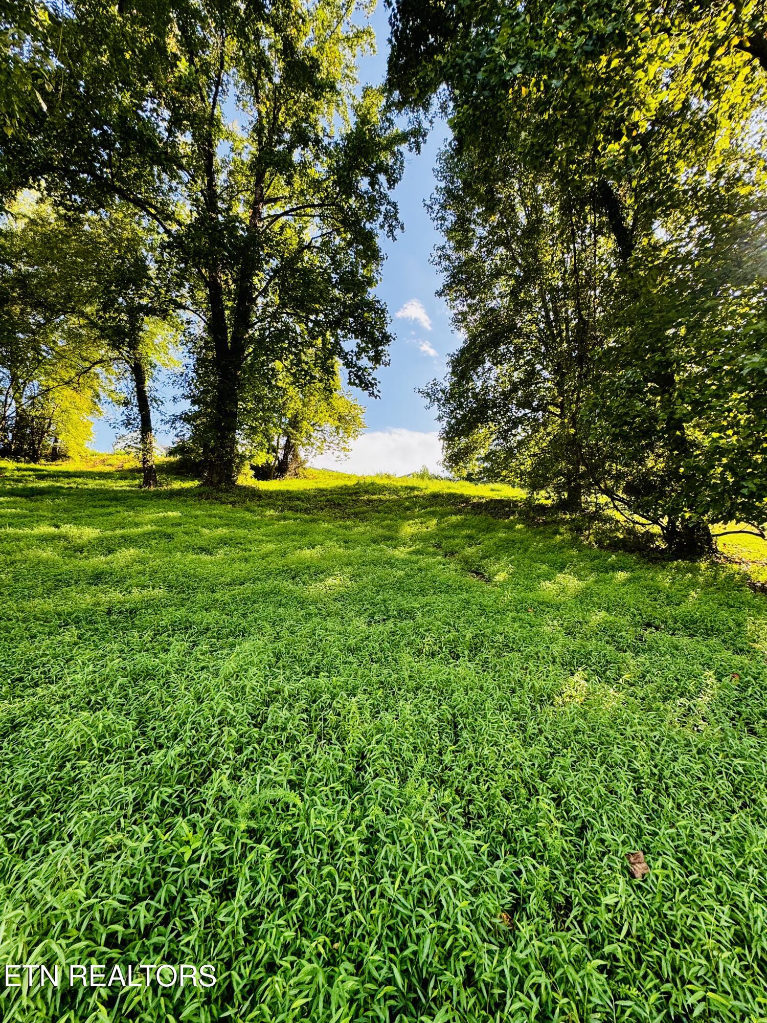 Lot 207 Clyde Ed Road Kodak TN 37764