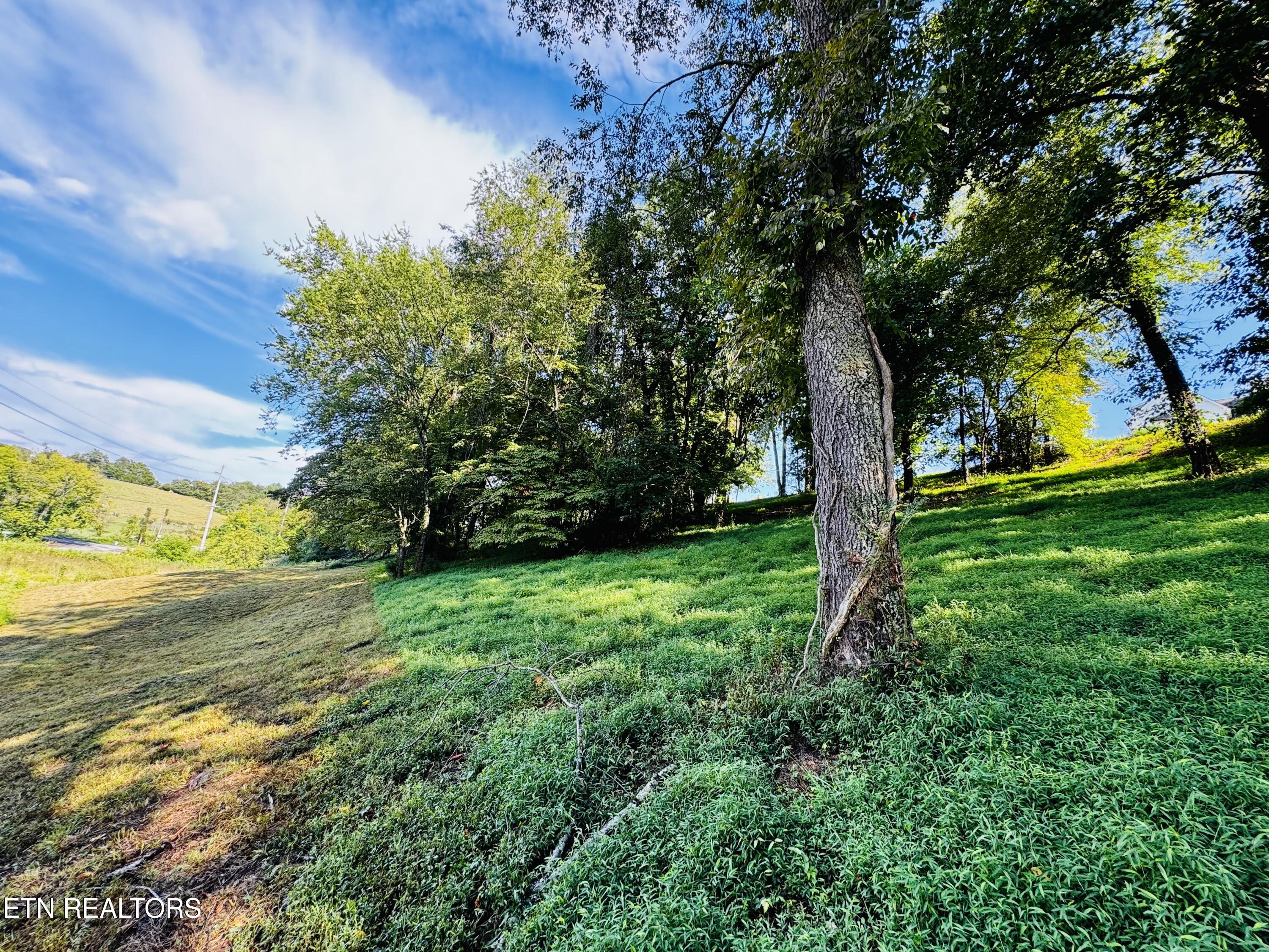 Lot 207 Clyde Ed Road Kodak TN 37764