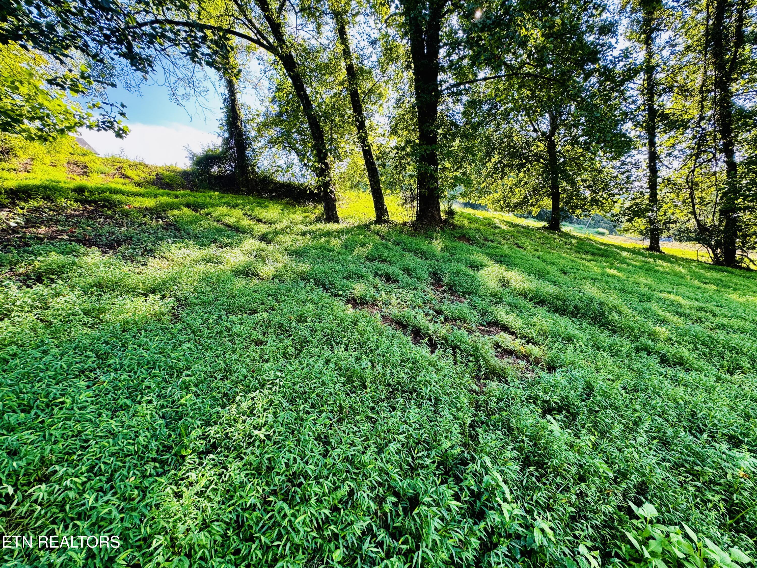 Lot 207 Clyde Ed Road Kodak TN 37764
