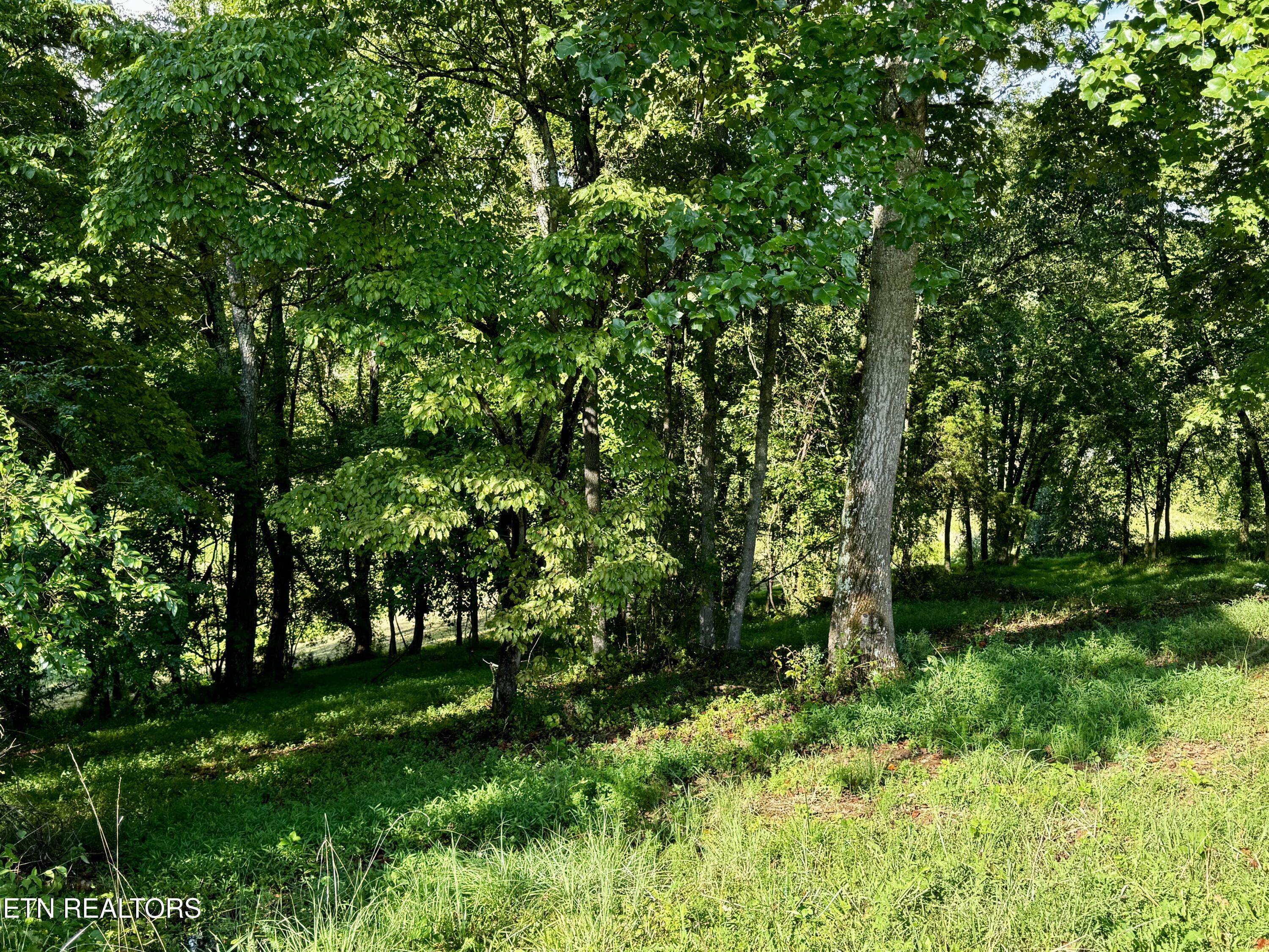 Lot 207 Clyde Ed Road Kodak TN 37764