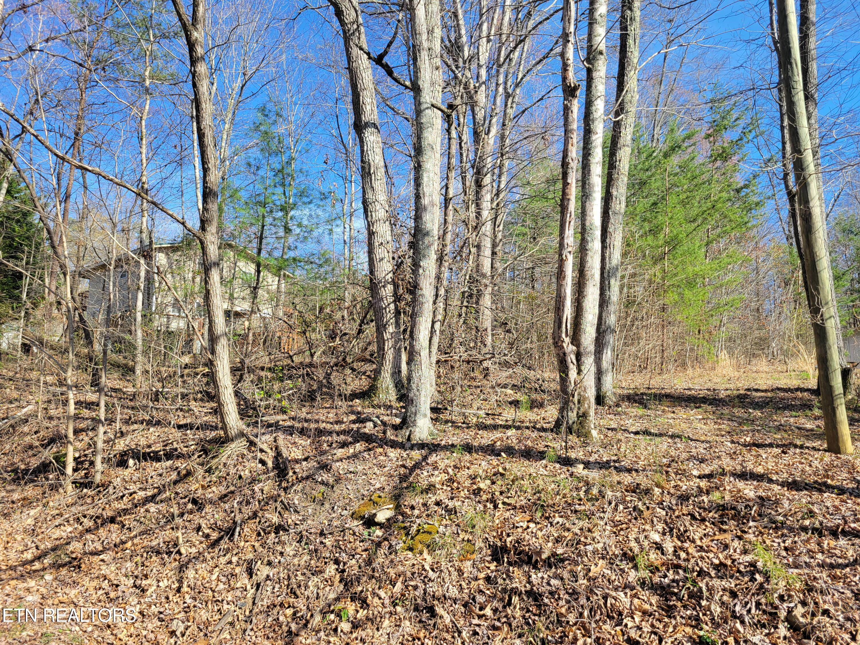 Lot 69 Alpine Drive Sevierville TN 37876