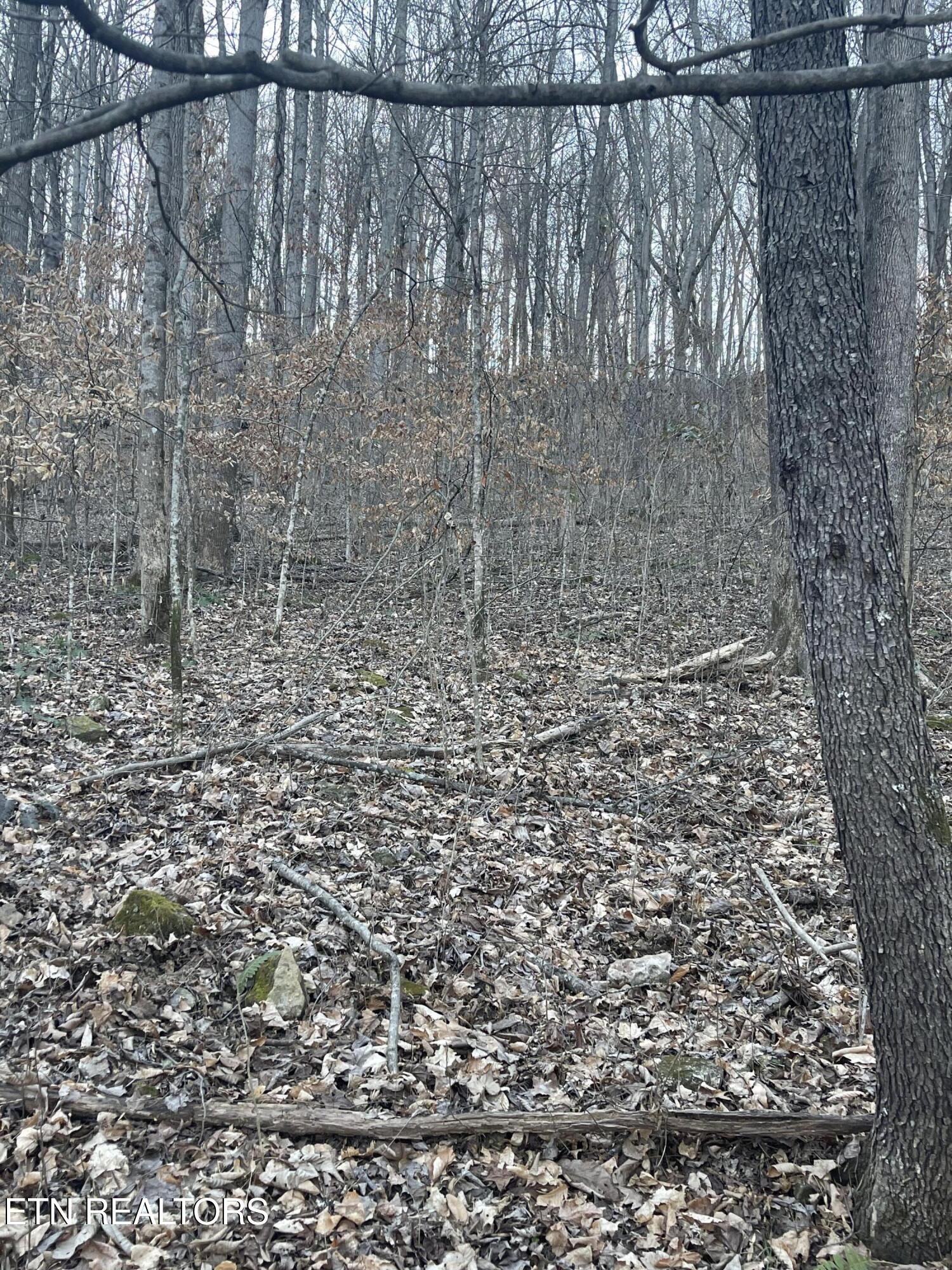 0 Back Bone Road Sparta TN 38583