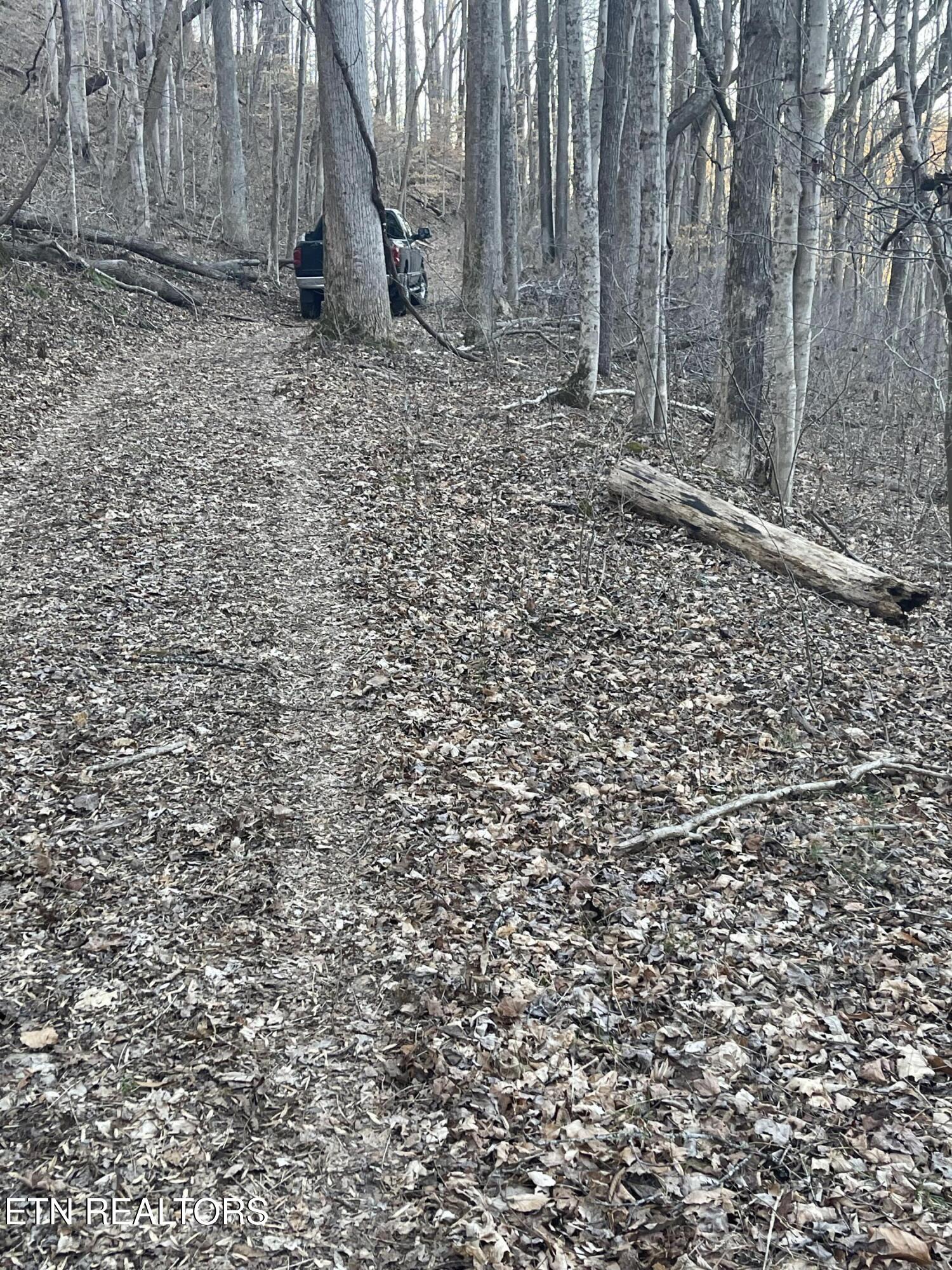 0 Back Bone Road Sparta TN 38583