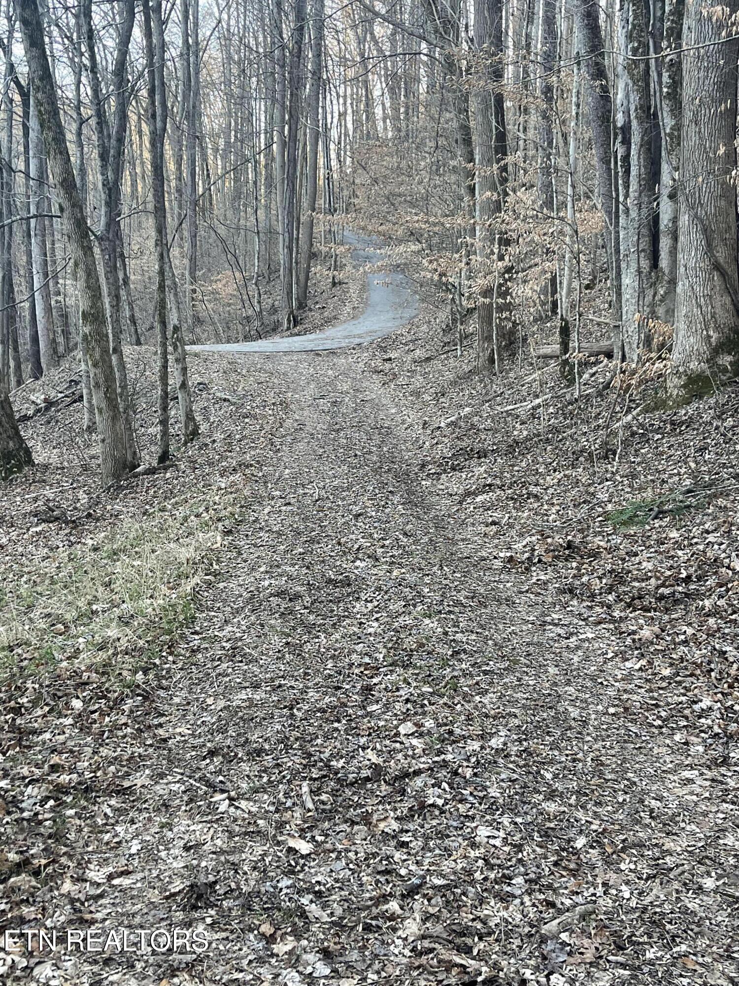 0 Back Bone Road Sparta TN 38583