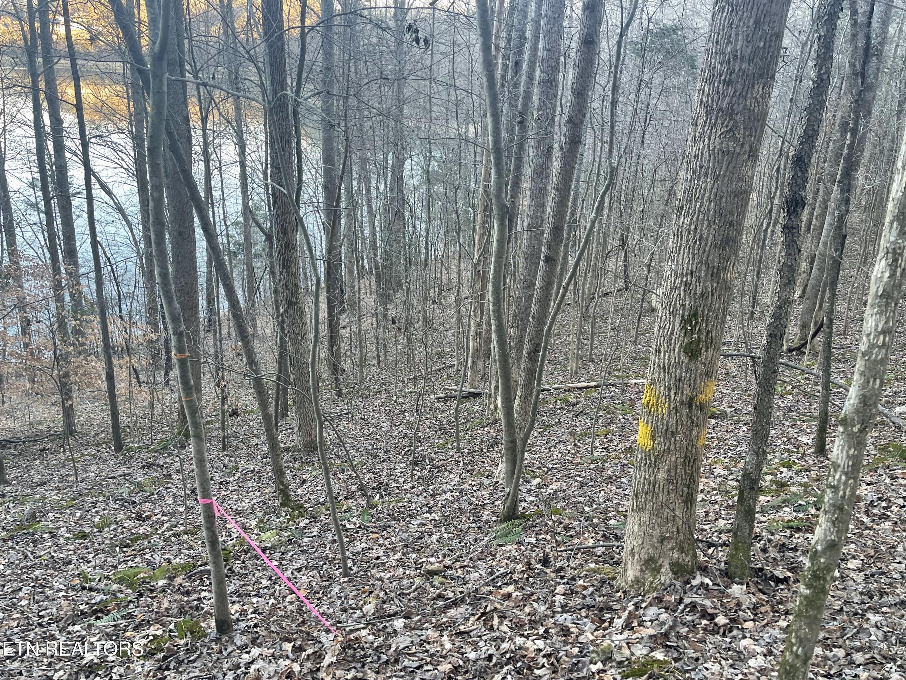 0 Back Bone Road Sparta TN 38583