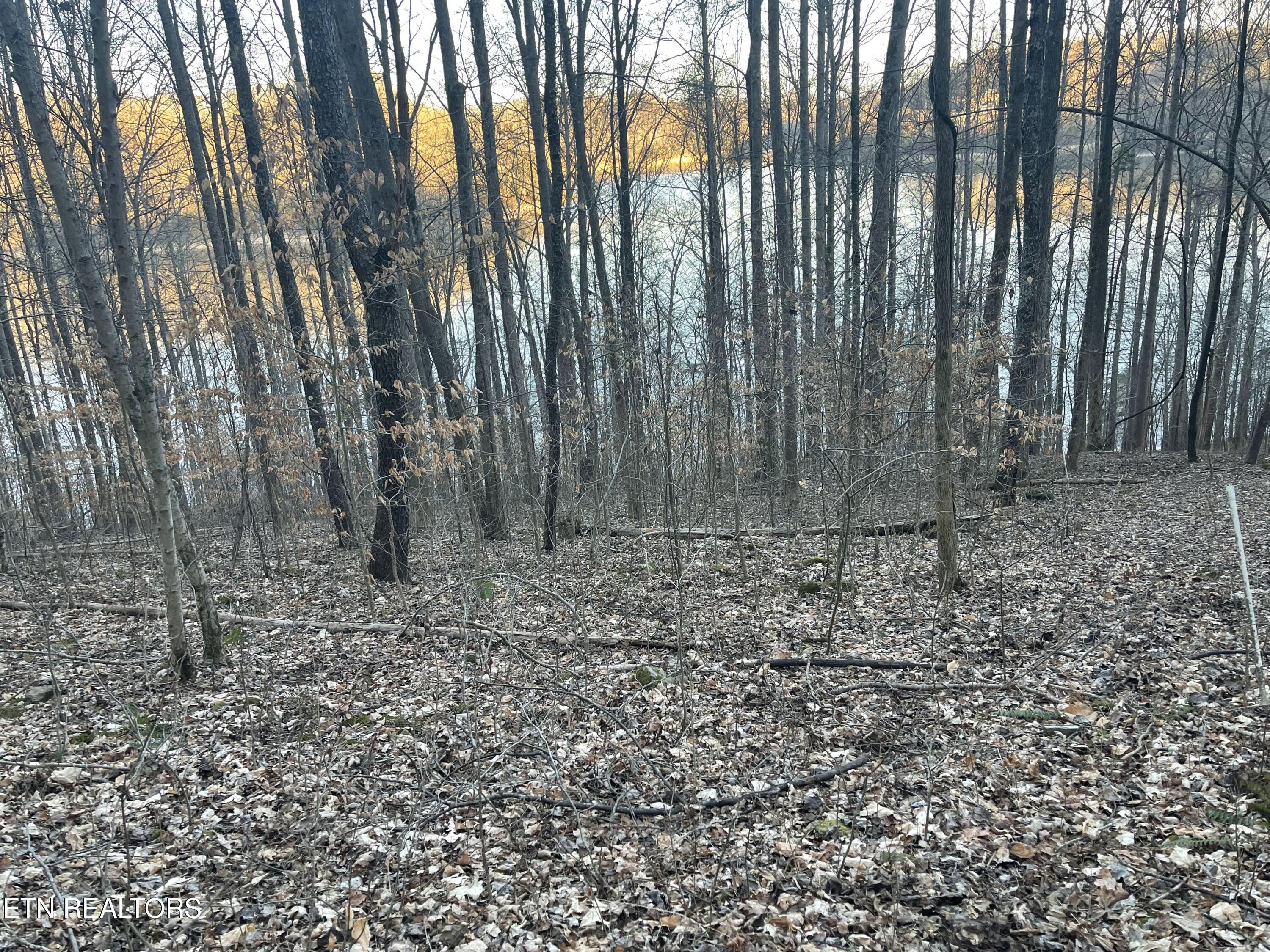 0 Back Bone Road Sparta TN 38583