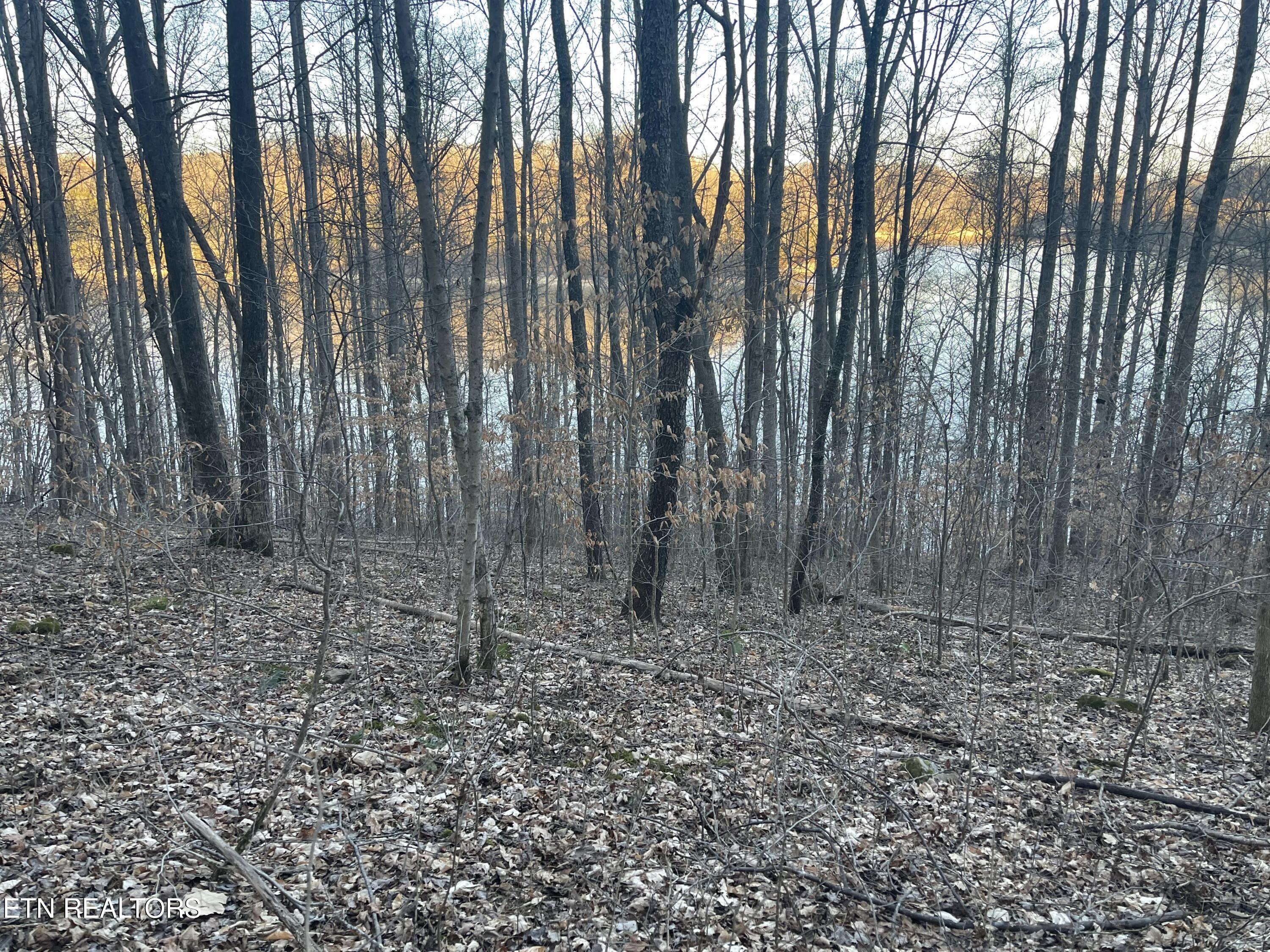 0 Back Bone Road Sparta TN 38583