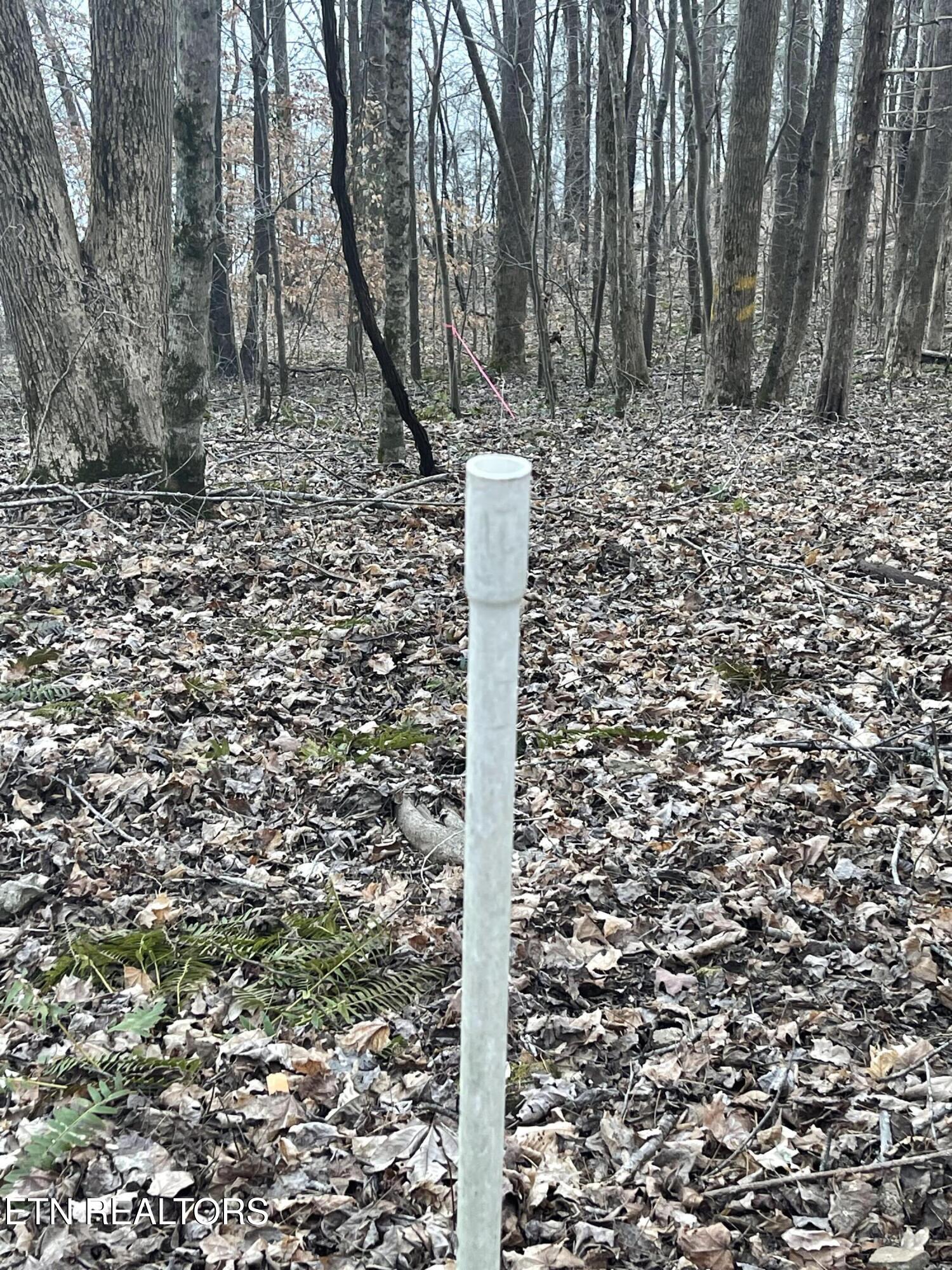 0 Back Bone Road Sparta TN 38583