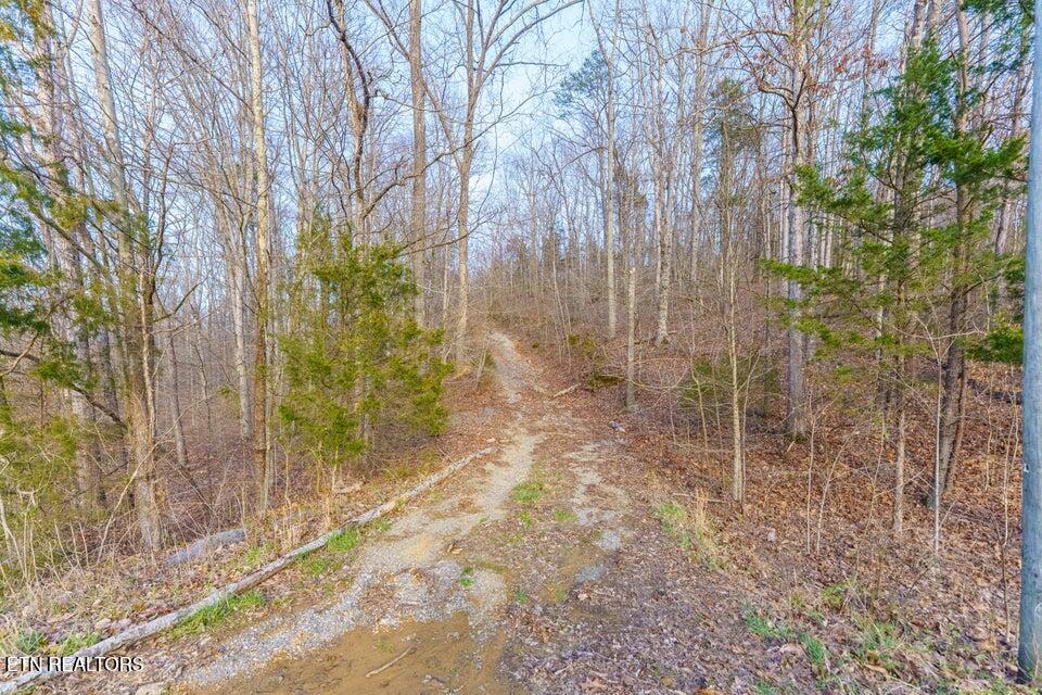 Douglas Dam Road Sevierville TN 37876