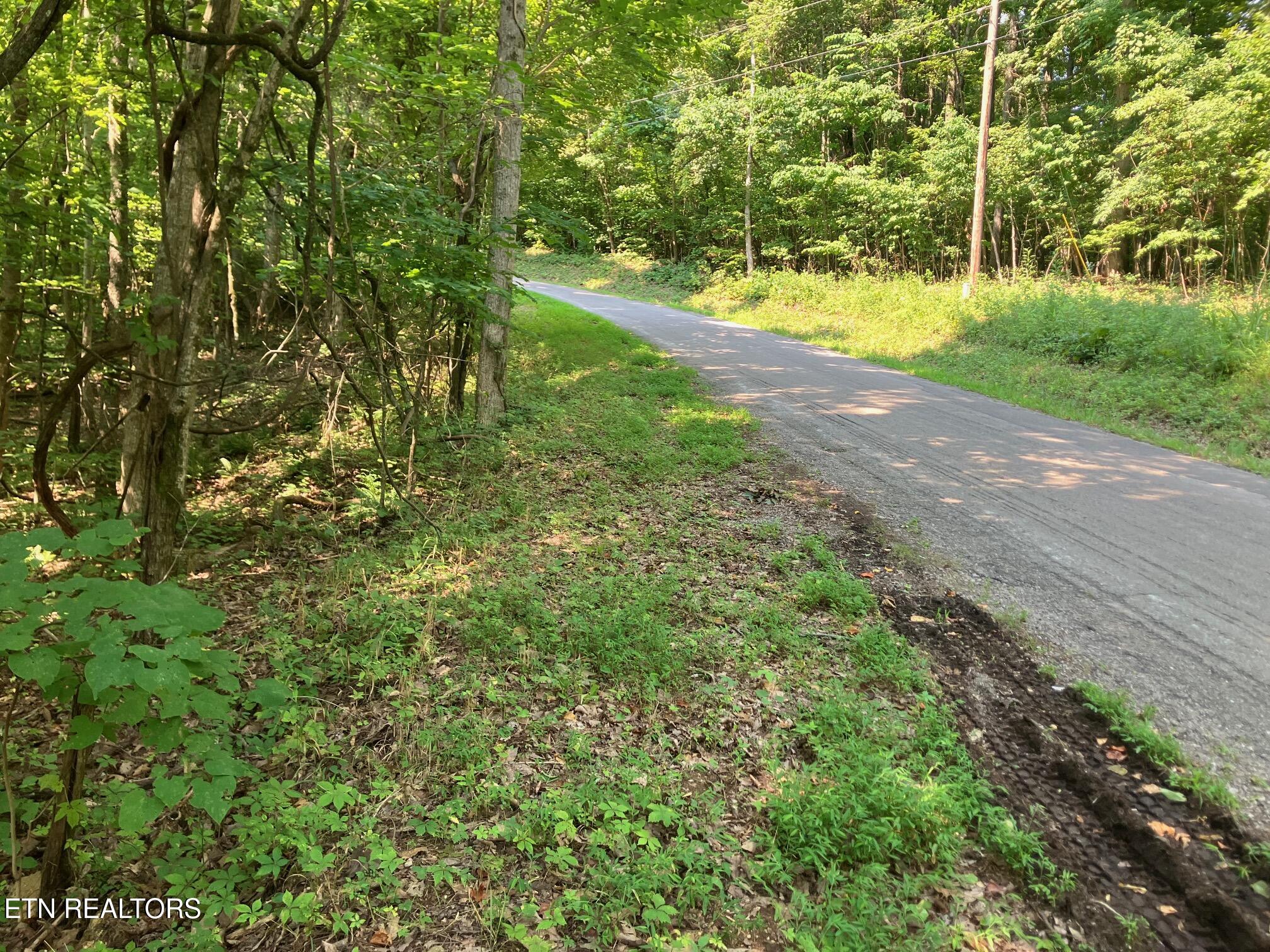 Lot 1 Tumbling Run Road Maynardville TN 37807