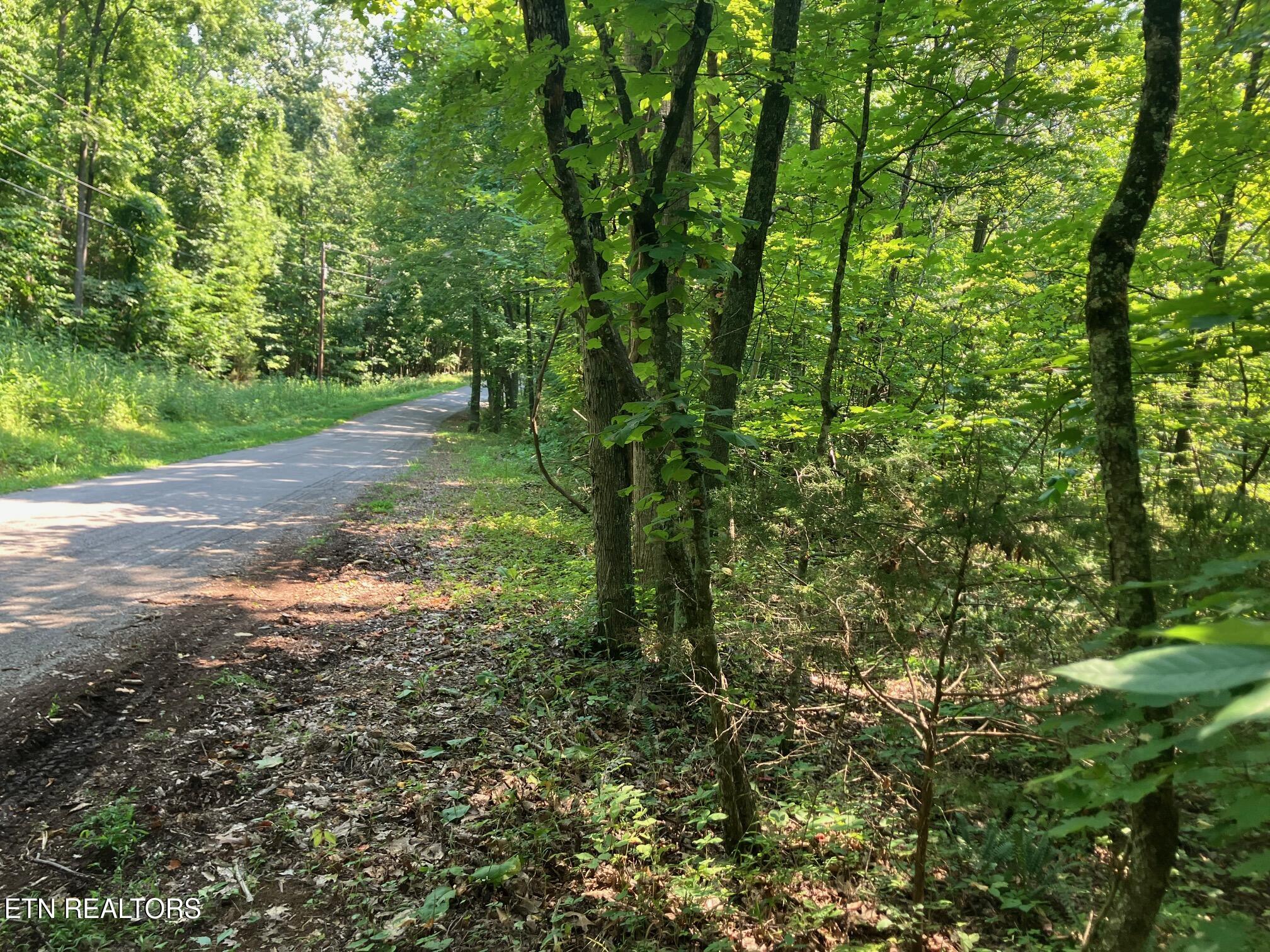 Lot 1 Tumbling Run Road Maynardville TN 37807
