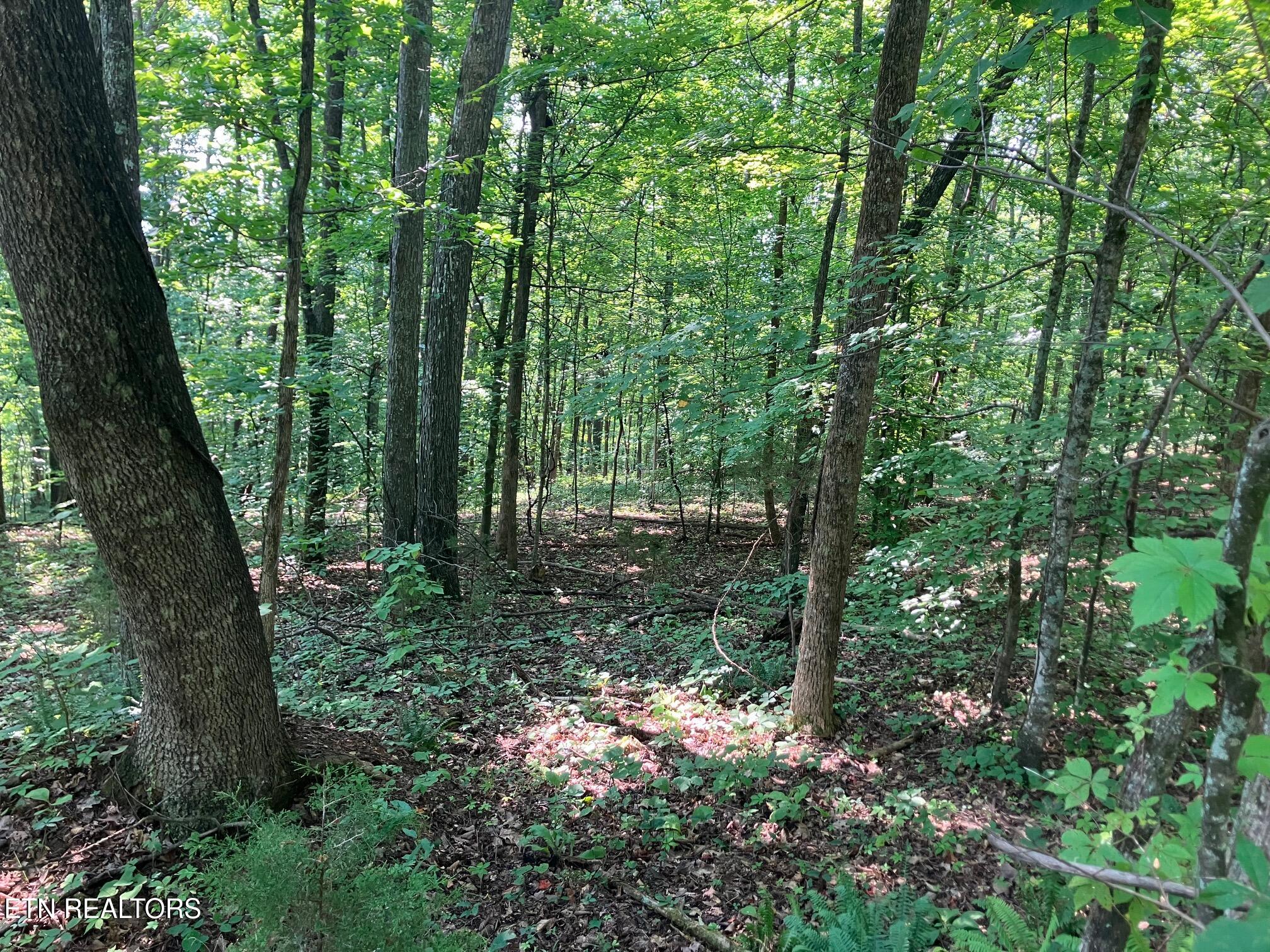 Lot 1 Tumbling Run Road Maynardville TN 37807