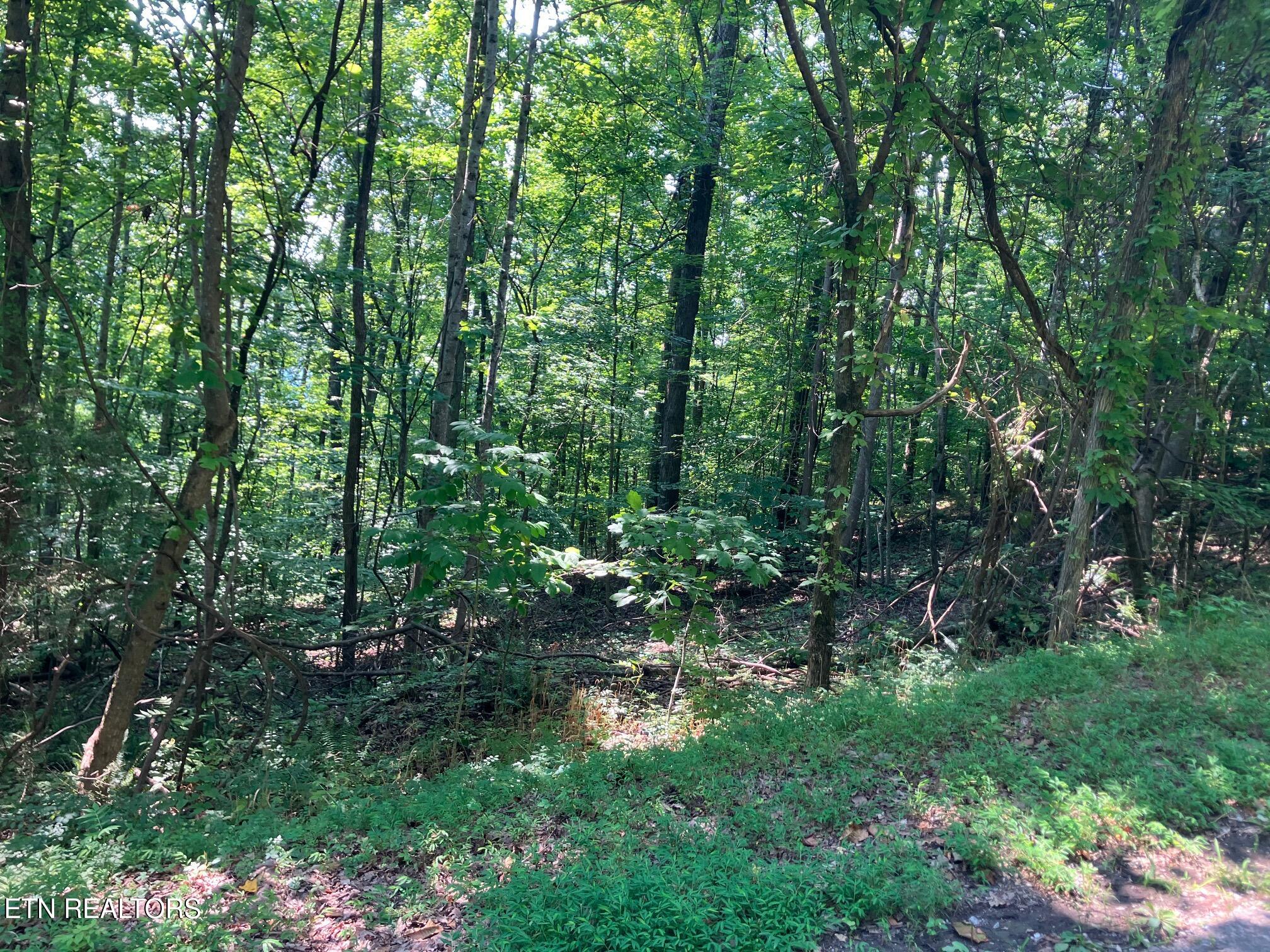 Lot 1 Tumbling Run Road Maynardville TN 37807