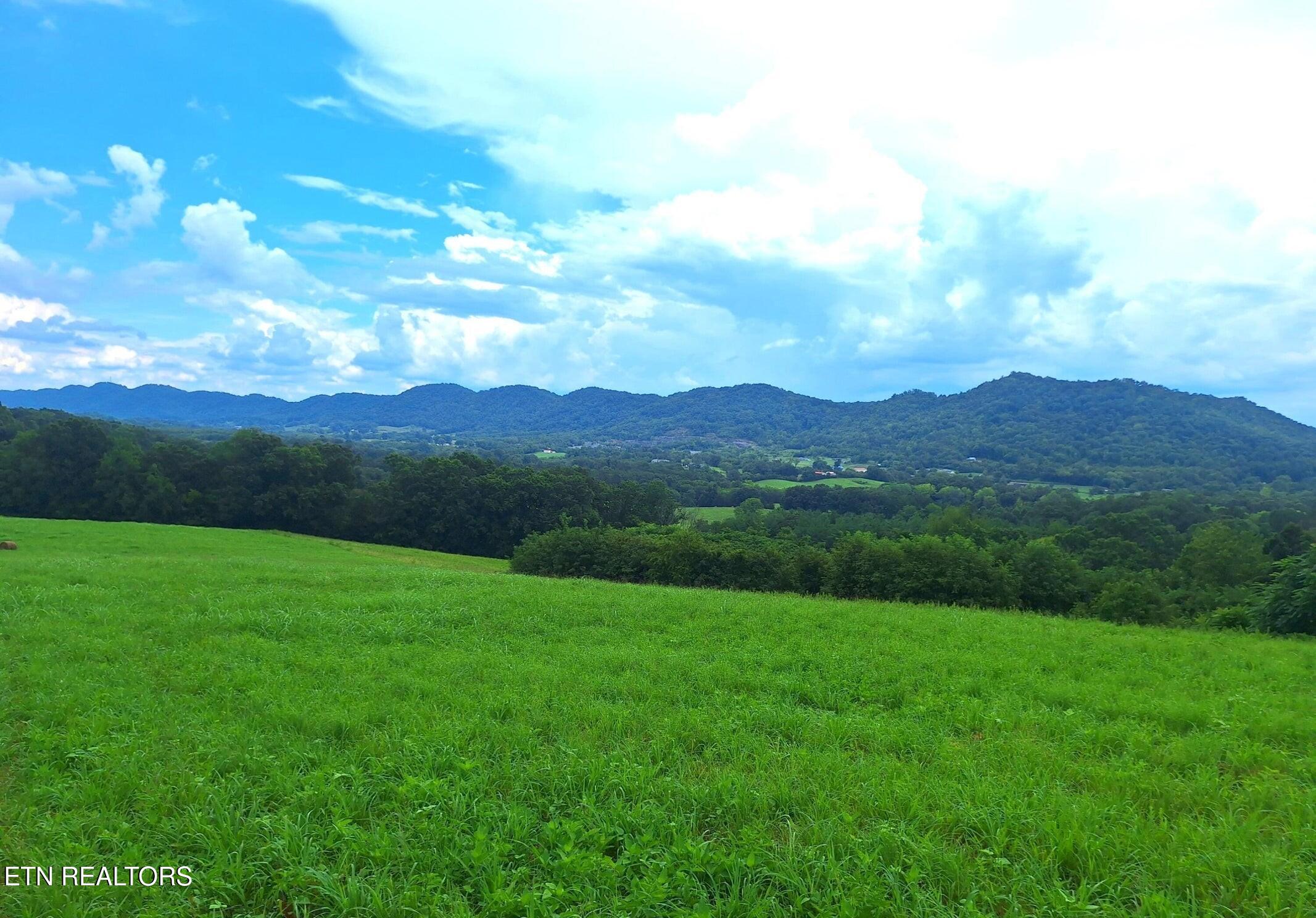 305 Race Track Road Rogersville TN 37857