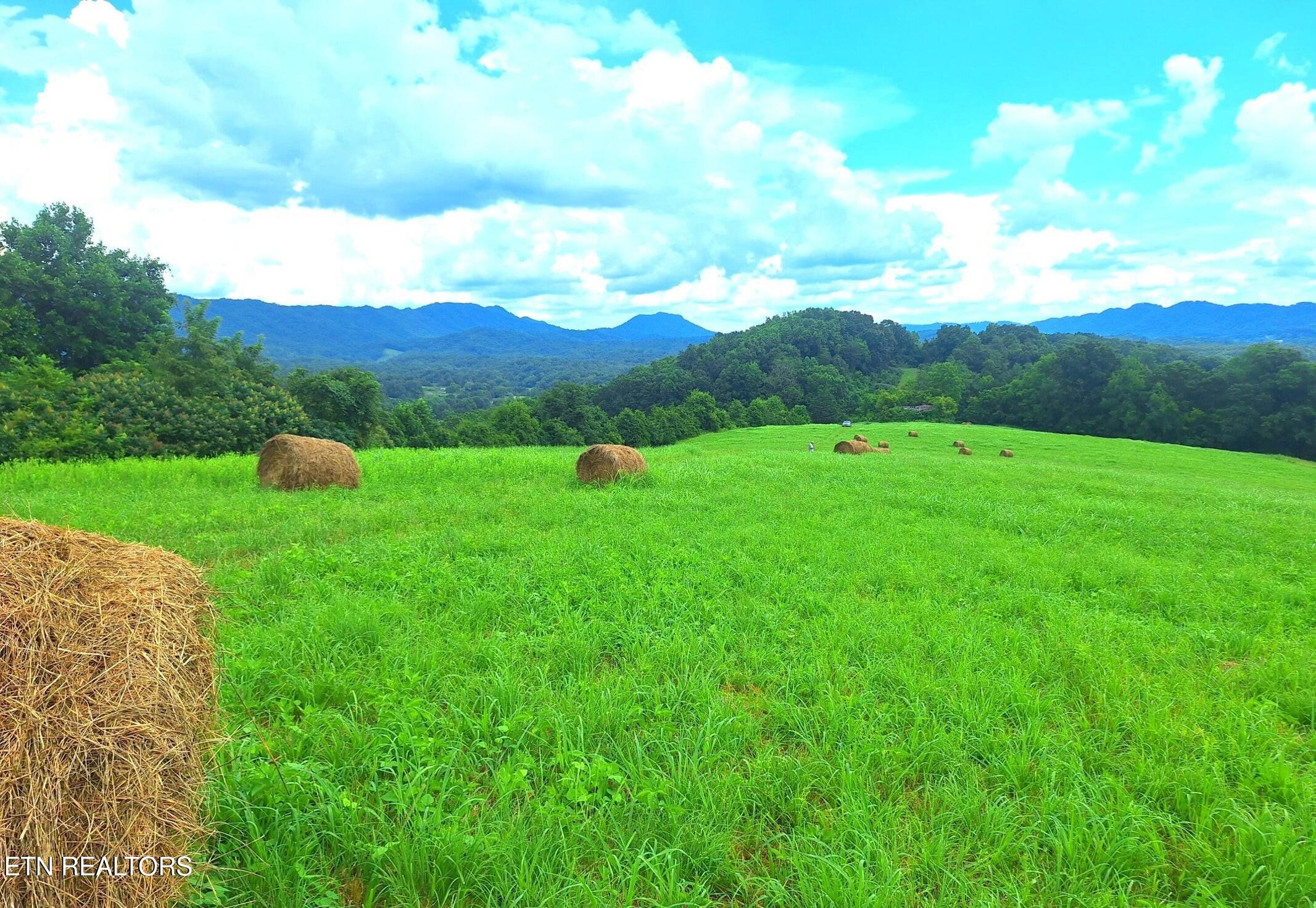 305 Race Track Road Rogersville TN 37857
