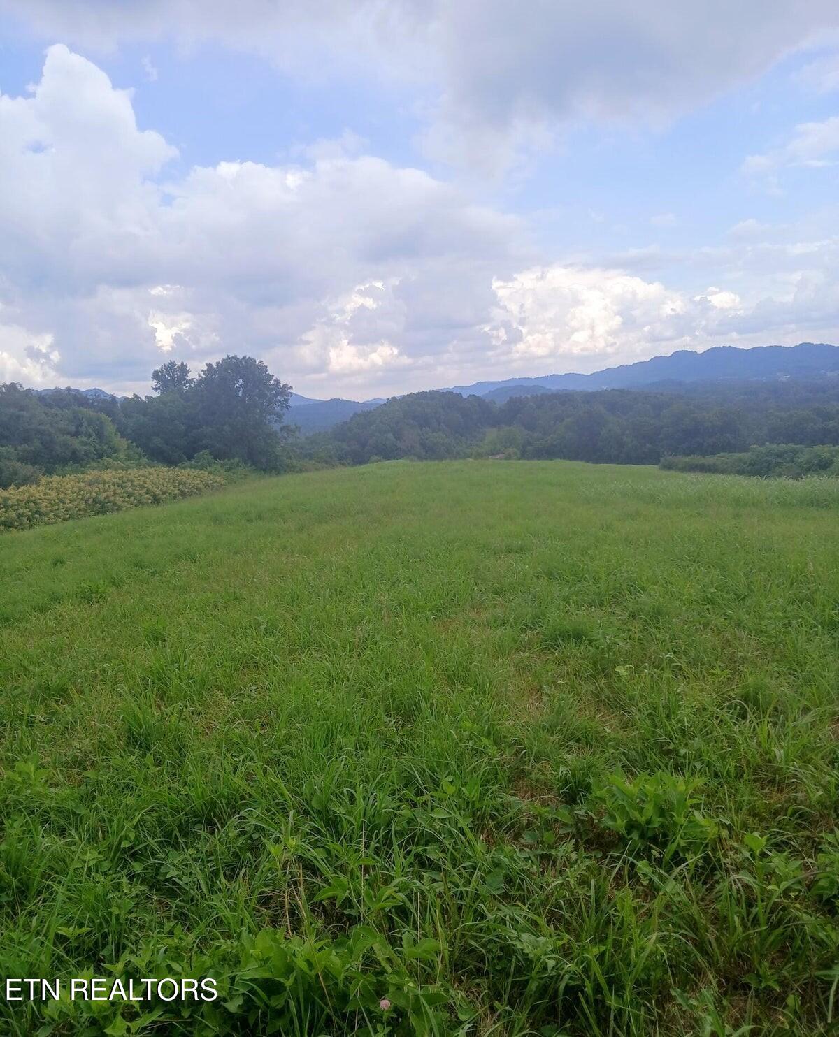305 Race Track Road Rogersville TN 37857