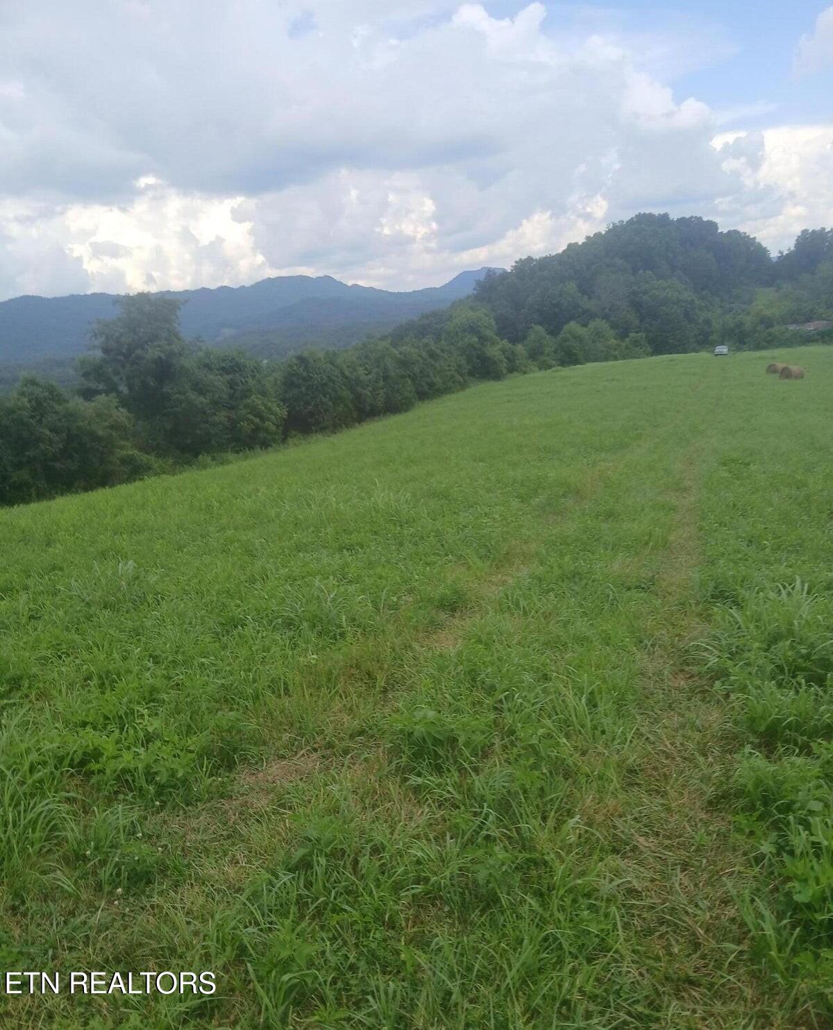 305 Race Track Road Rogersville TN 37857