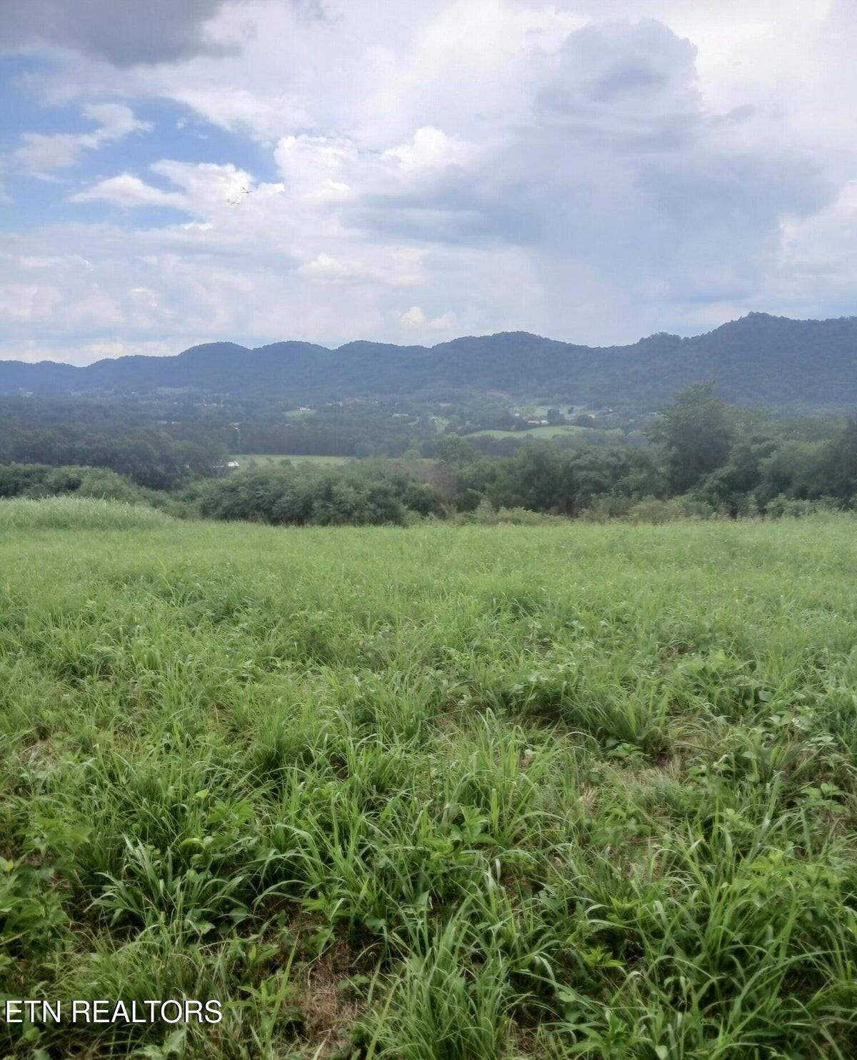 305 Race Track Road Rogersville TN 37857