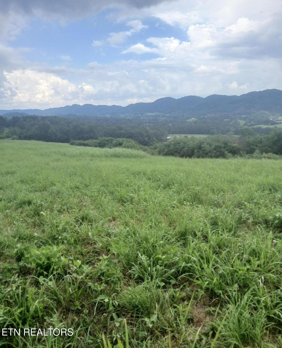 305 Race Track Road Rogersville TN 37857