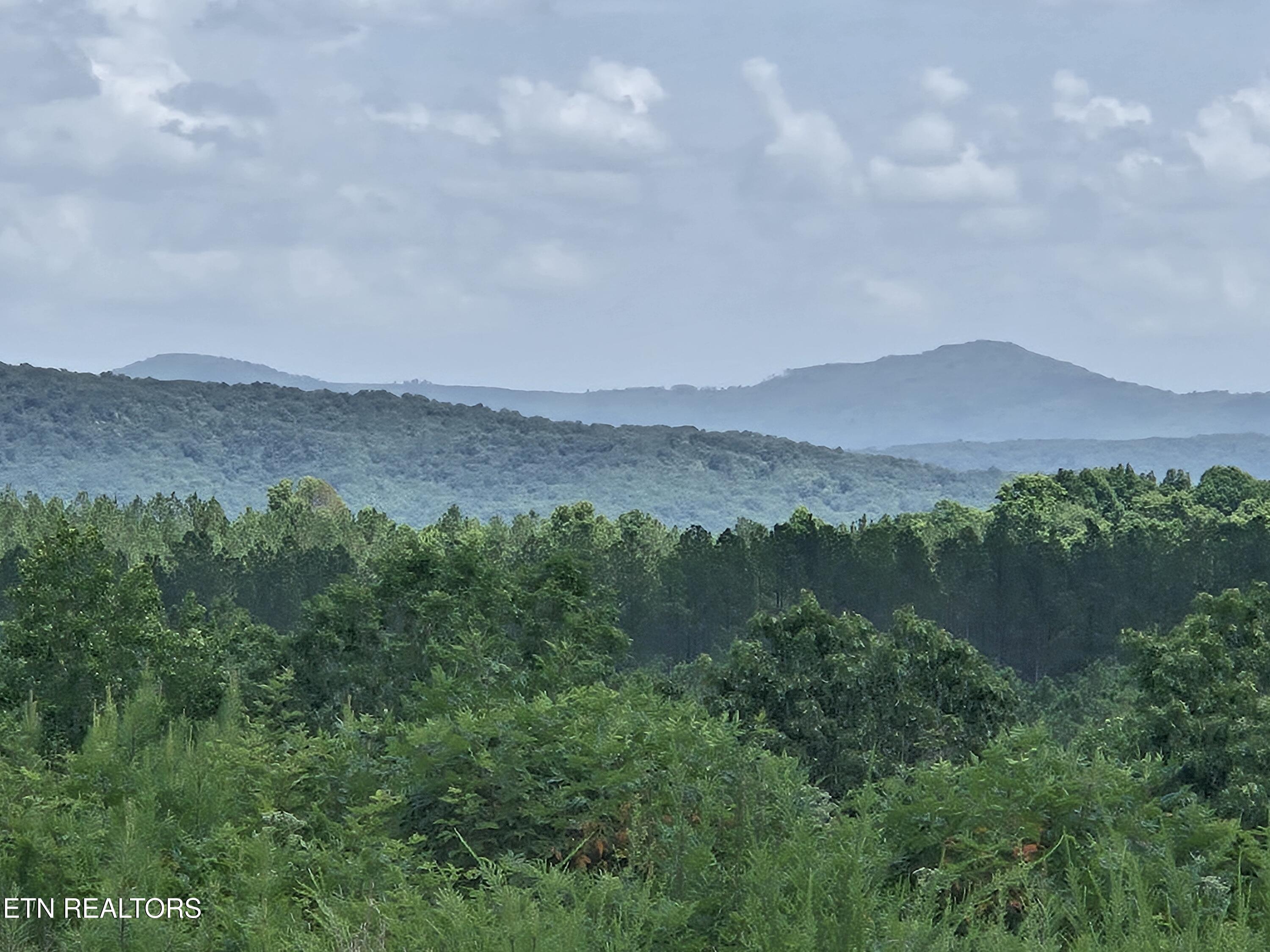 Owl Ridge Way Sunbright TN 37872