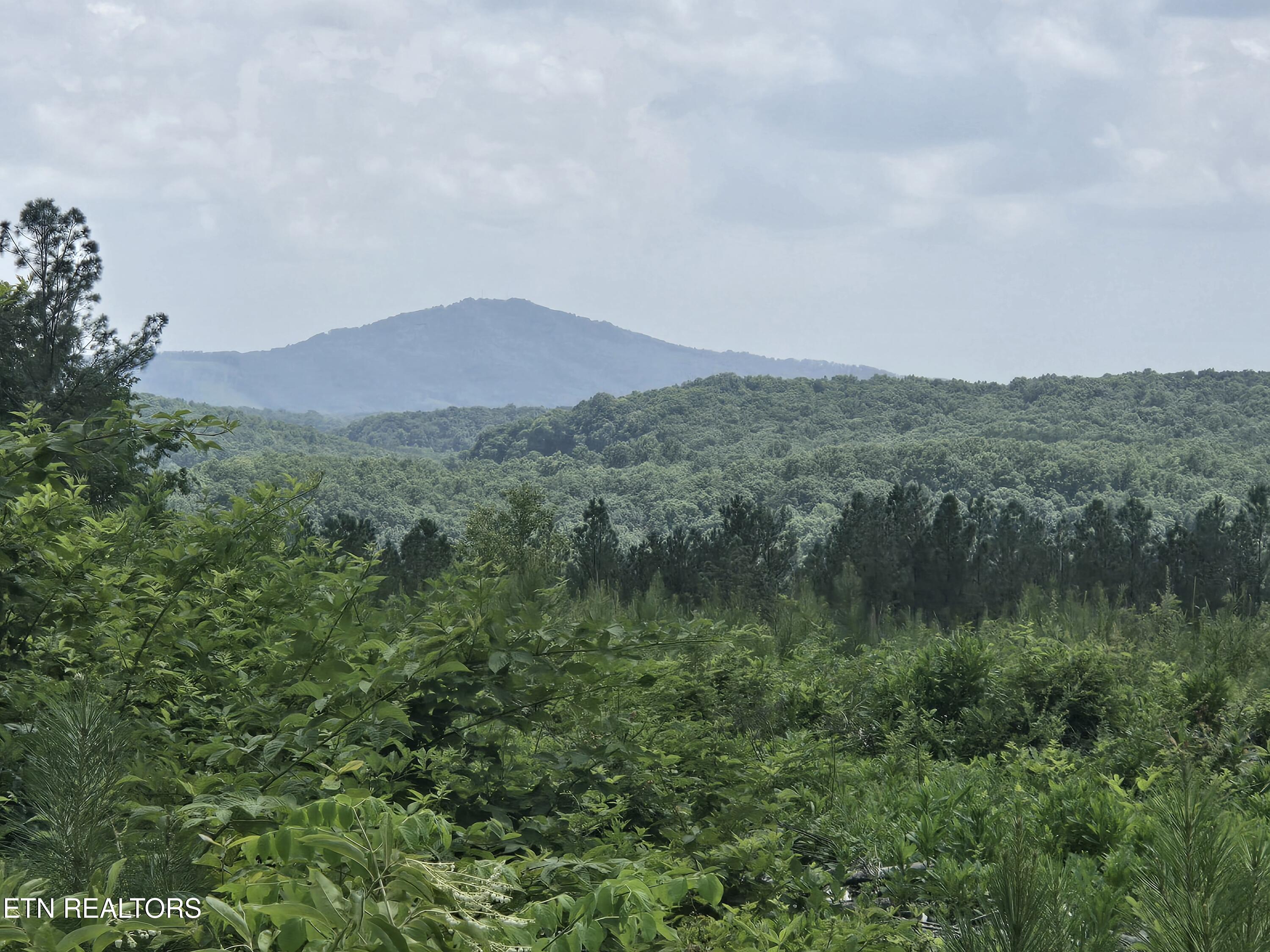 Owl Ridge Way Sunbright TN 37872