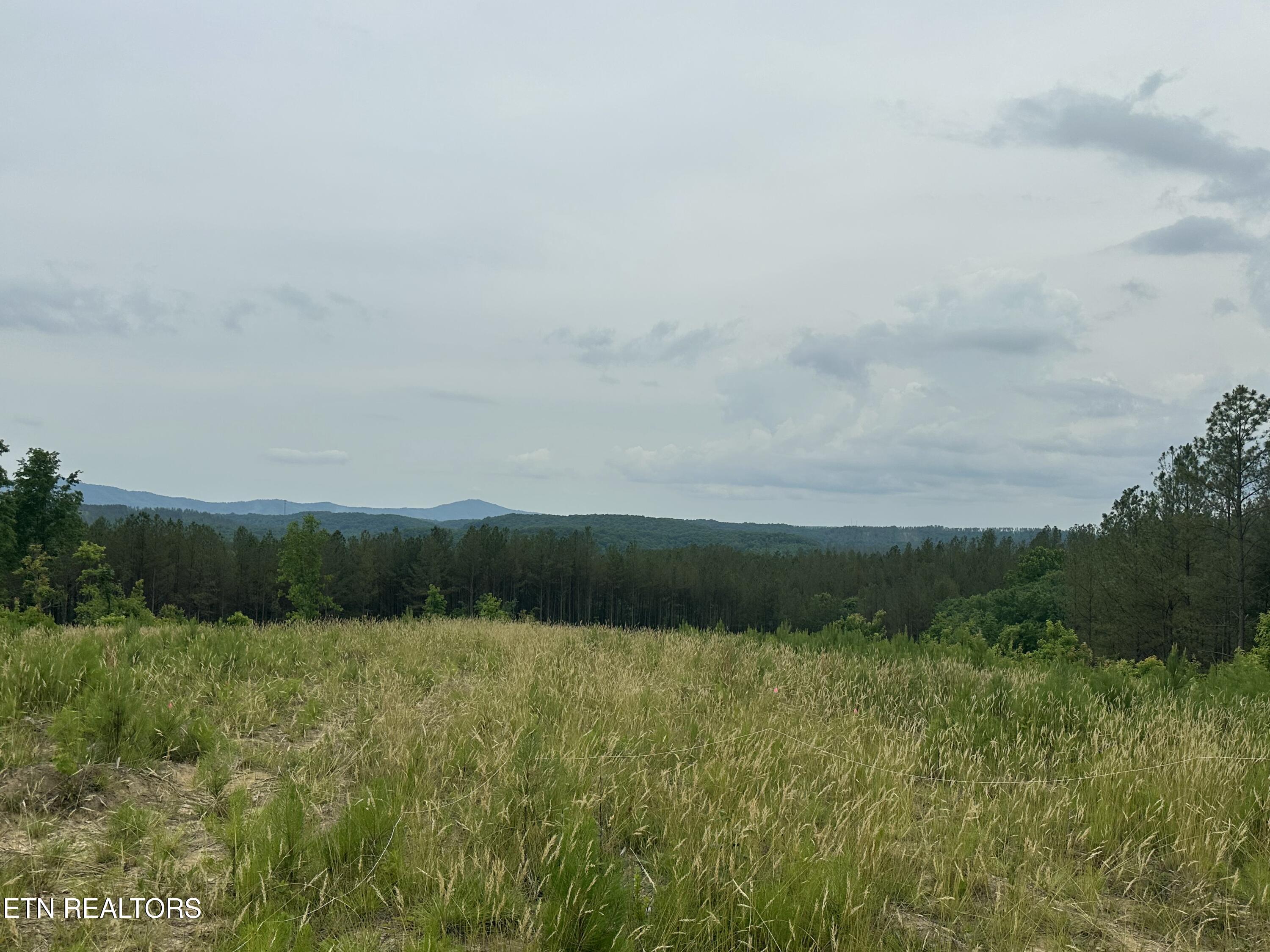 Owl Ridge Way Sunbright TN 37872
