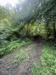 Ailor Dr Off Drive Maynardville TN 37807