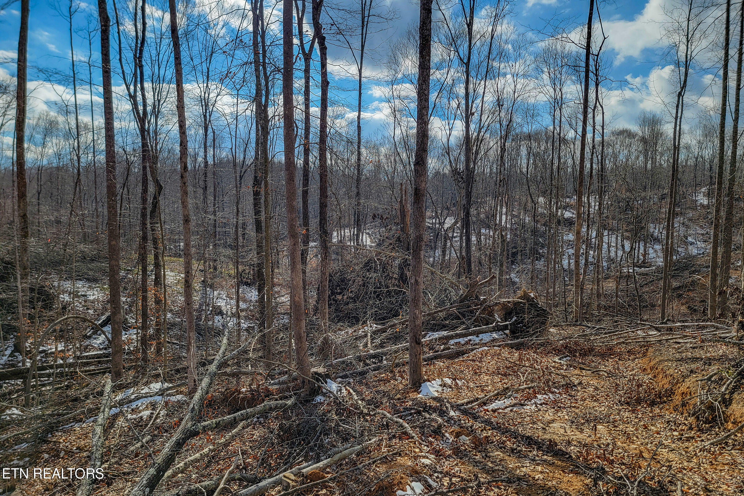 5.33 Ac Hutchins Bend Road Sparta TN 38583
