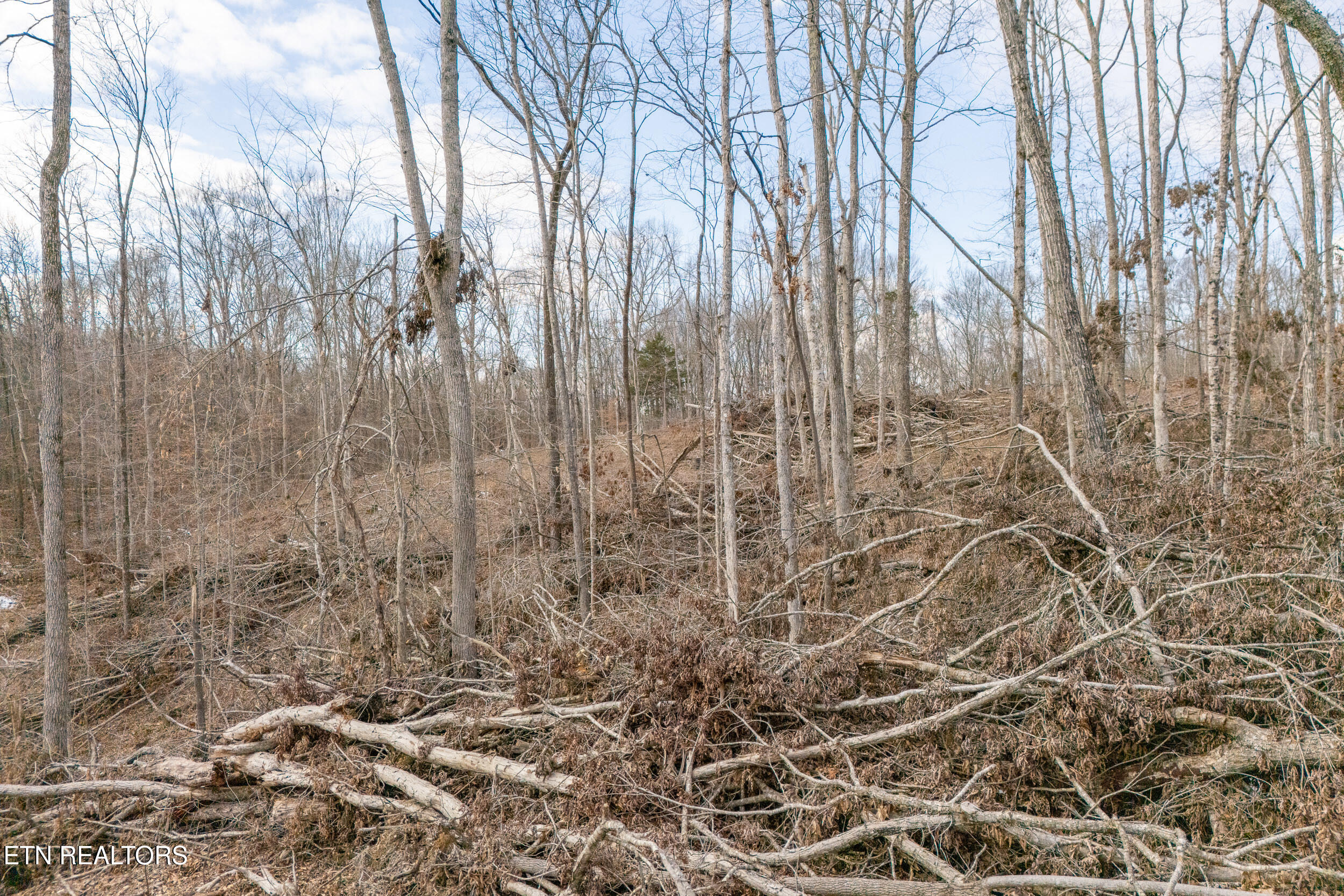 5.33 Ac Hutchins Bend Road Sparta TN 38583