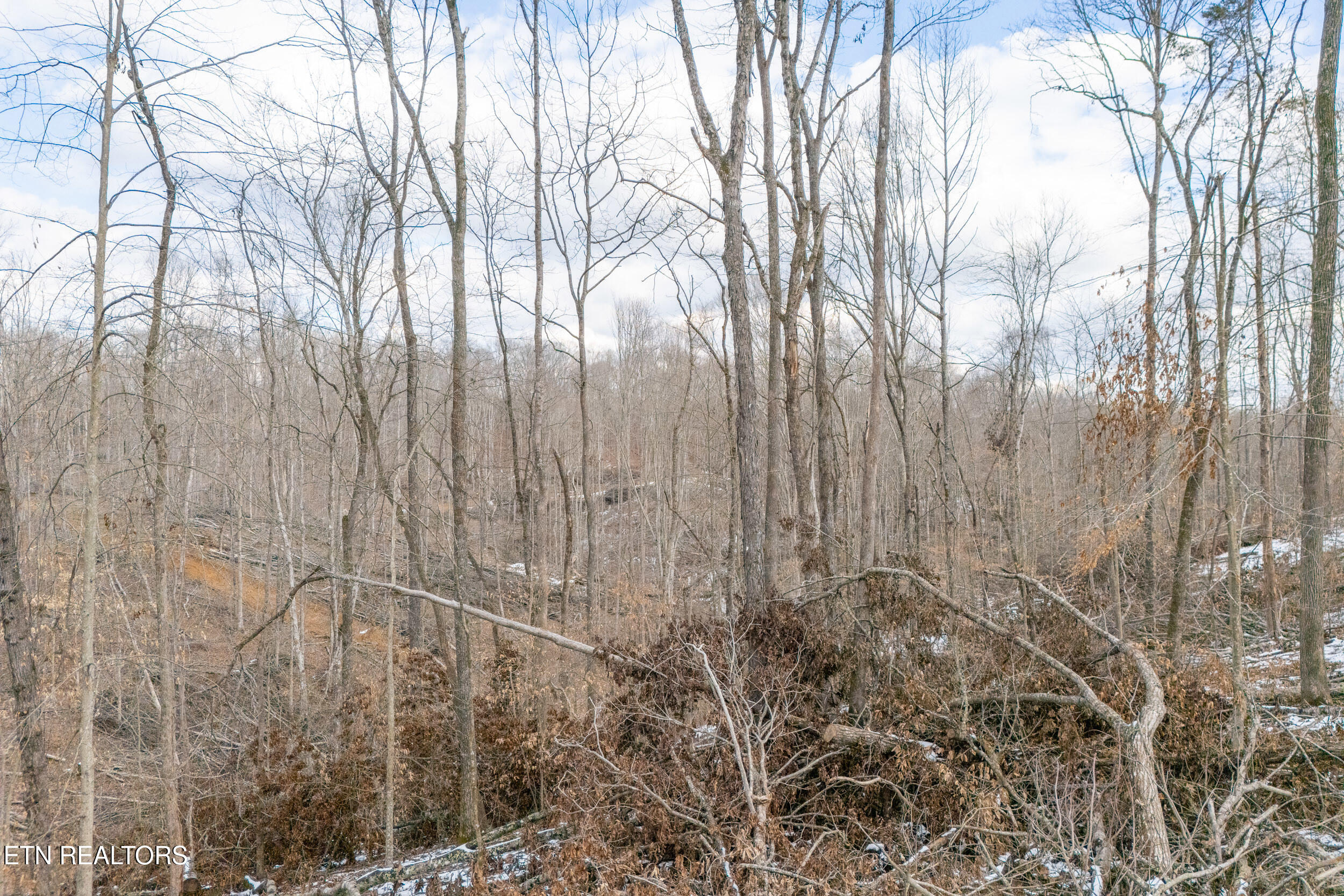 5.33 Ac Hutchins Bend Road Sparta TN 38583