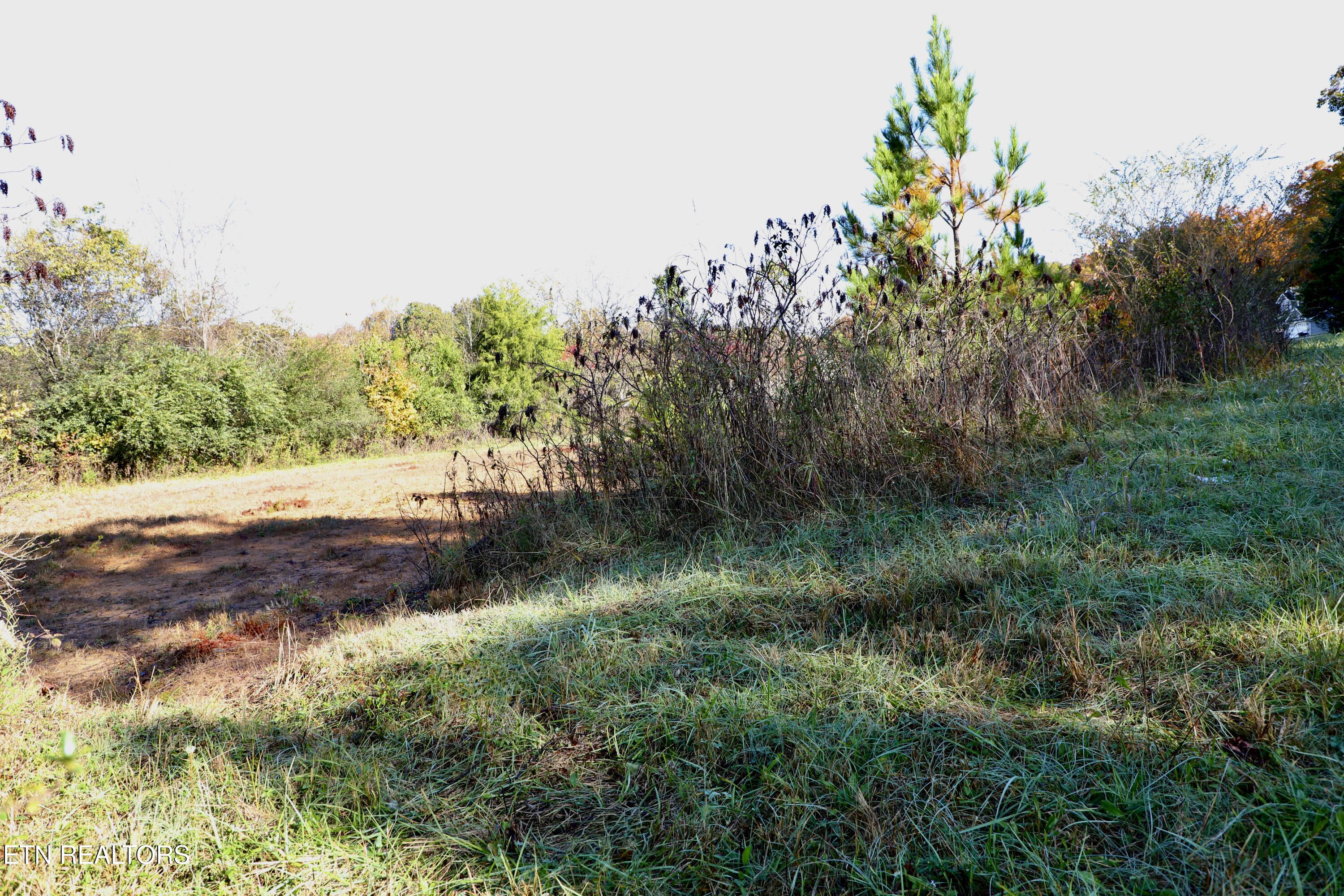 Park Avenue Madisonville TN 37354