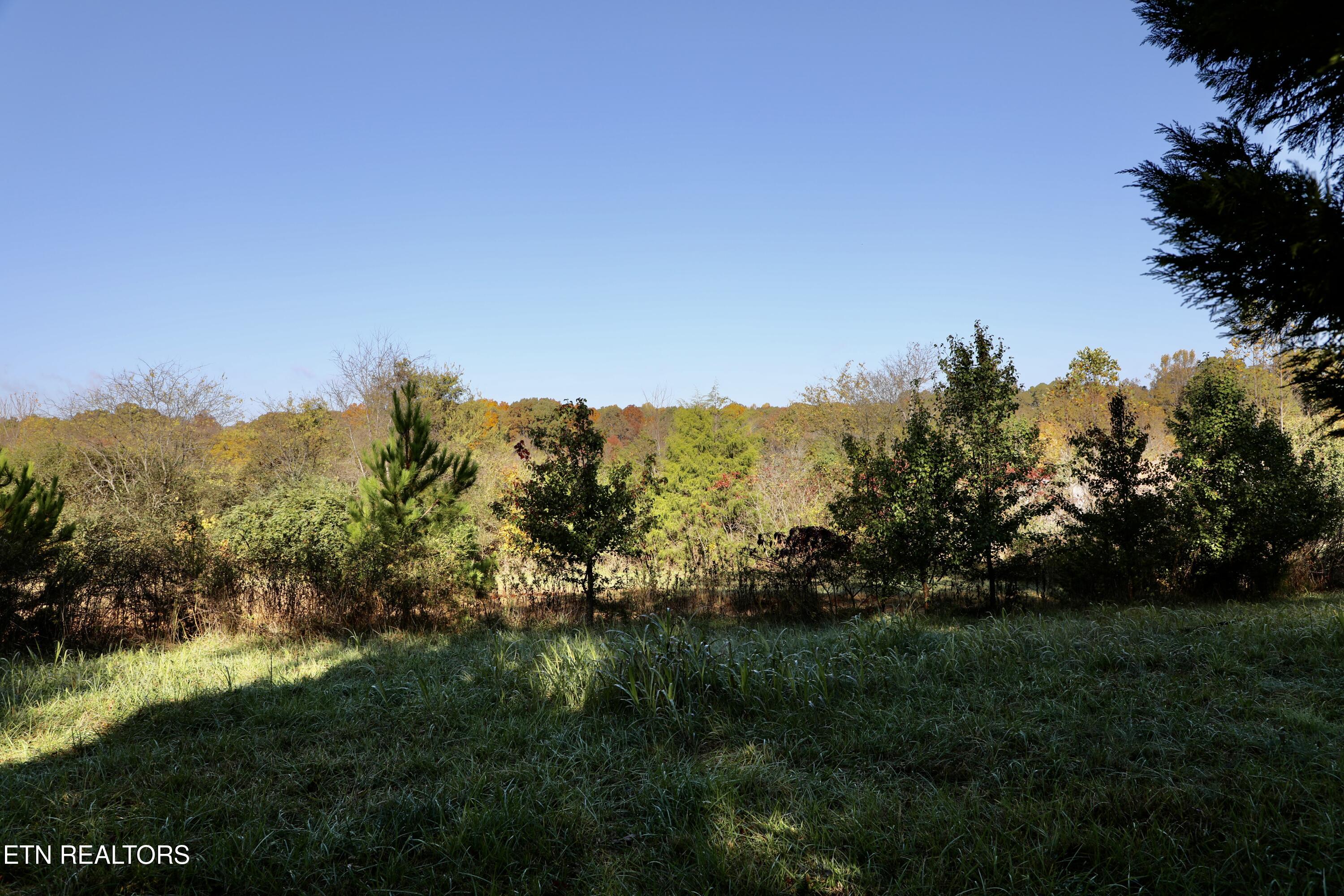 Park Avenue Madisonville TN 37354