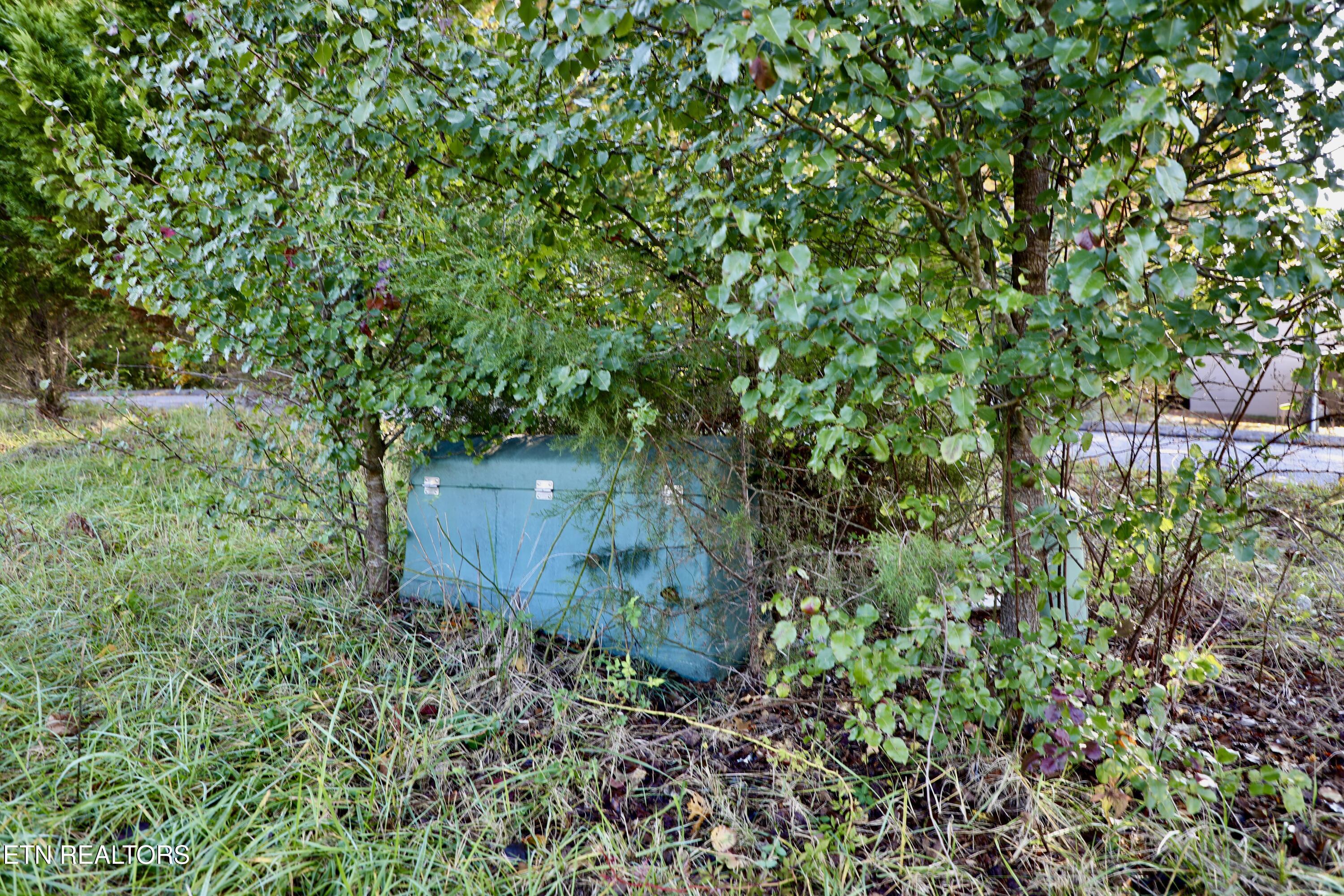 Park Avenue Madisonville TN 37354