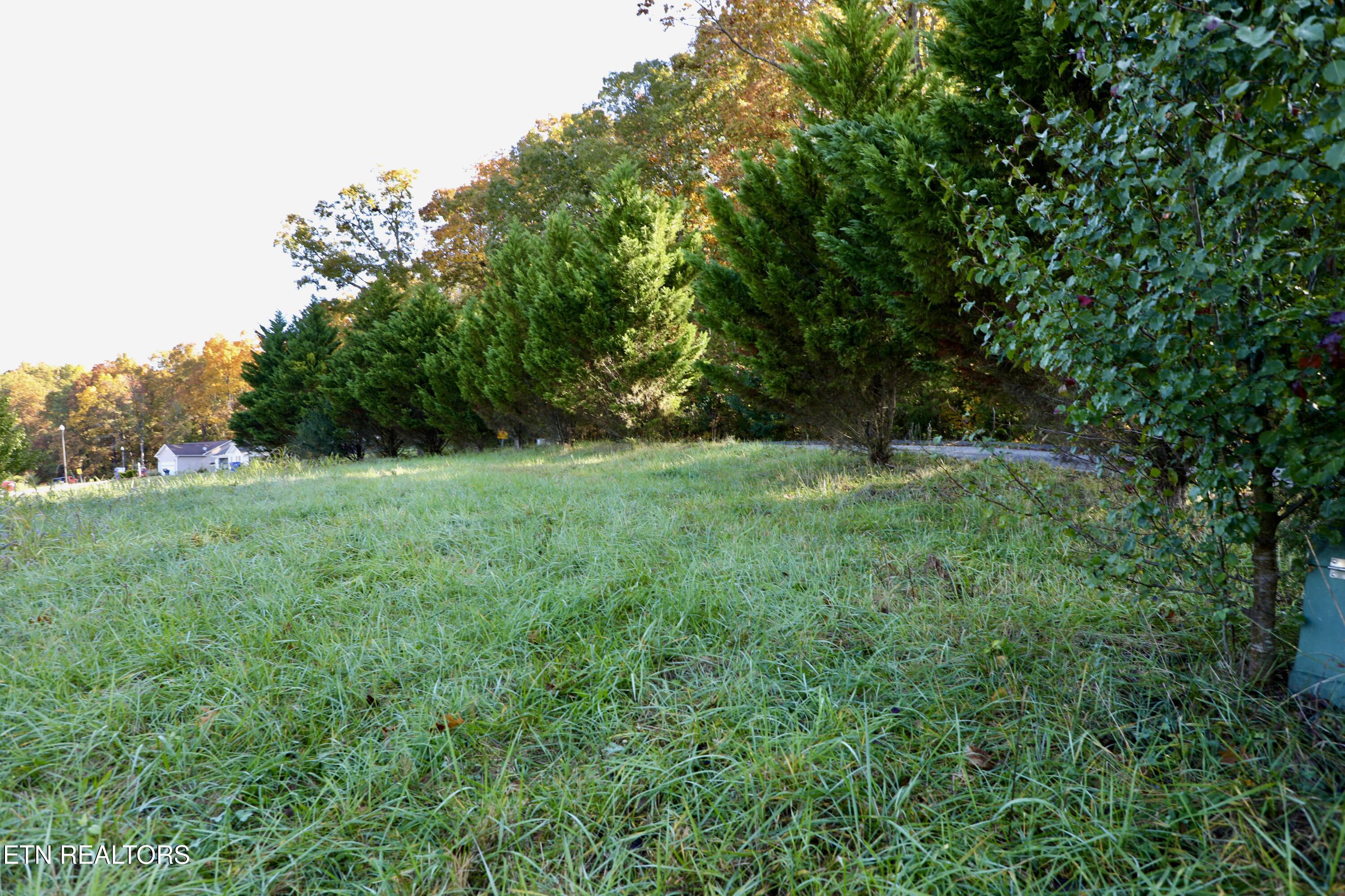 Park Avenue Madisonville TN 37354