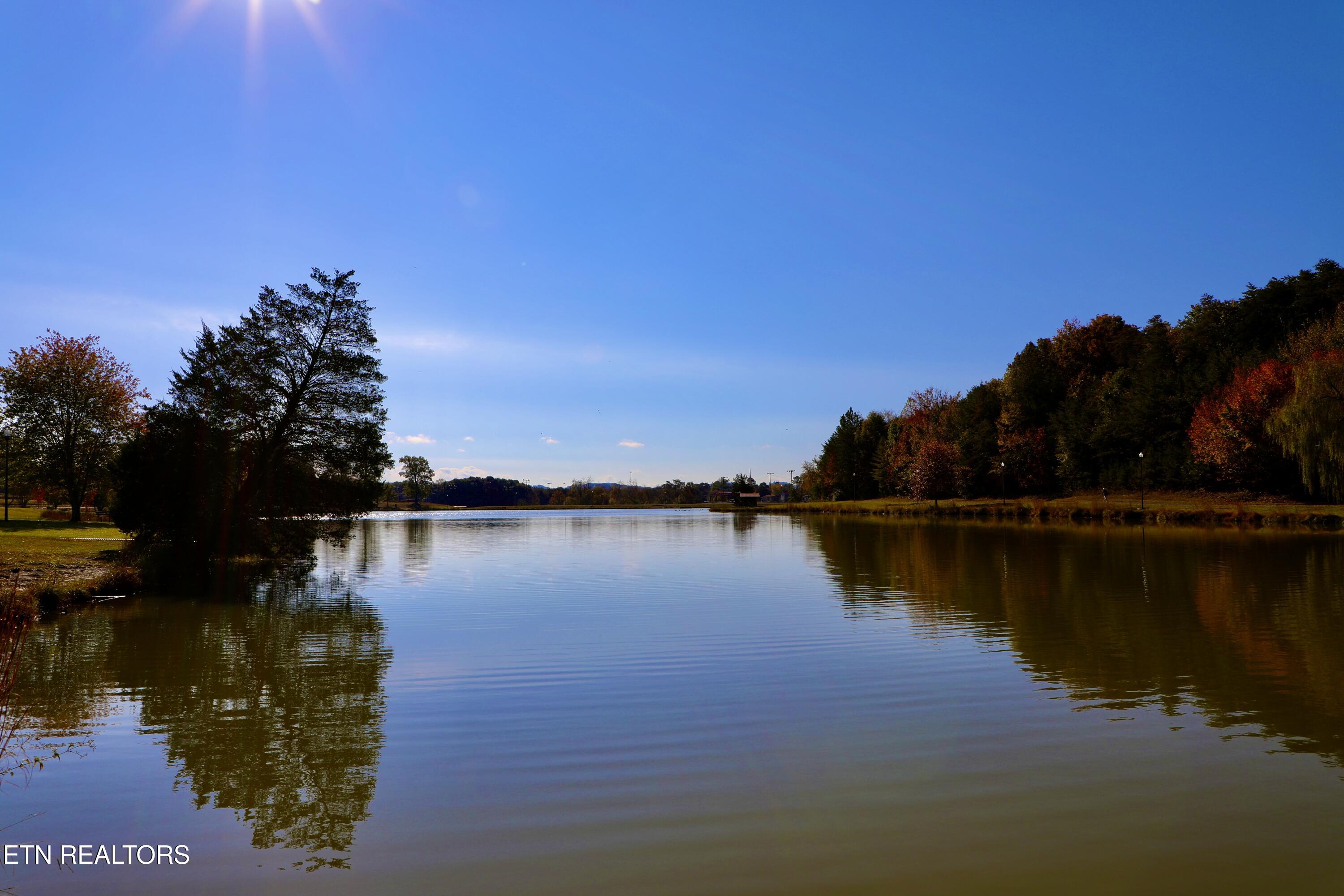 Park Avenue Madisonville TN 37354