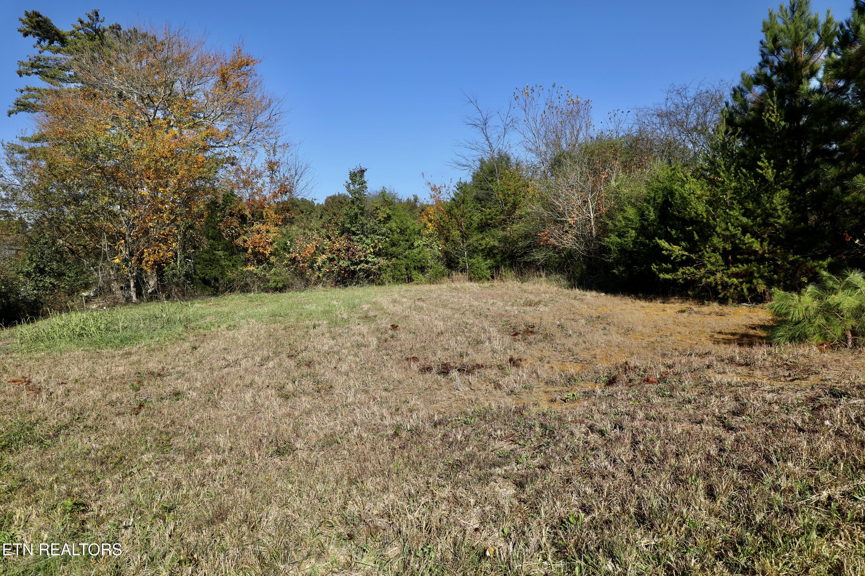 Park Avenue Madisonville TN 37354