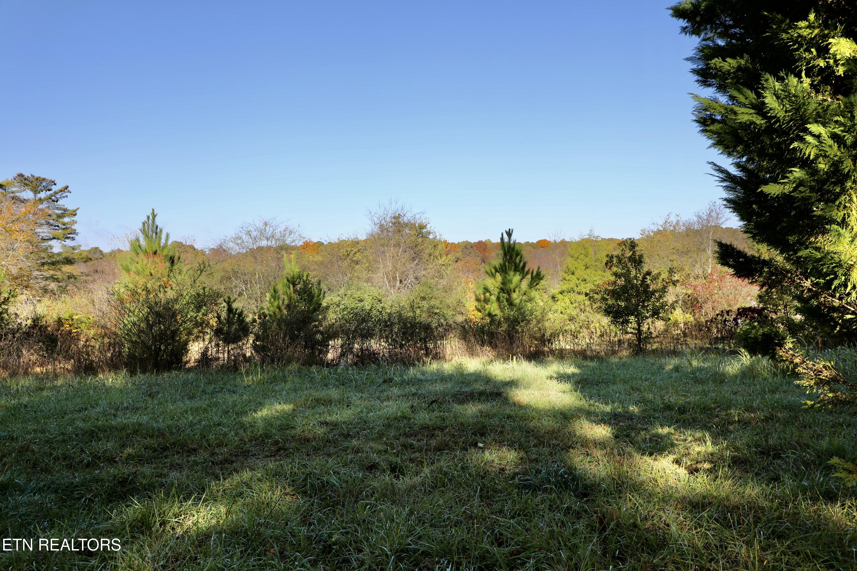 Park Avenue Madisonville TN 37354
