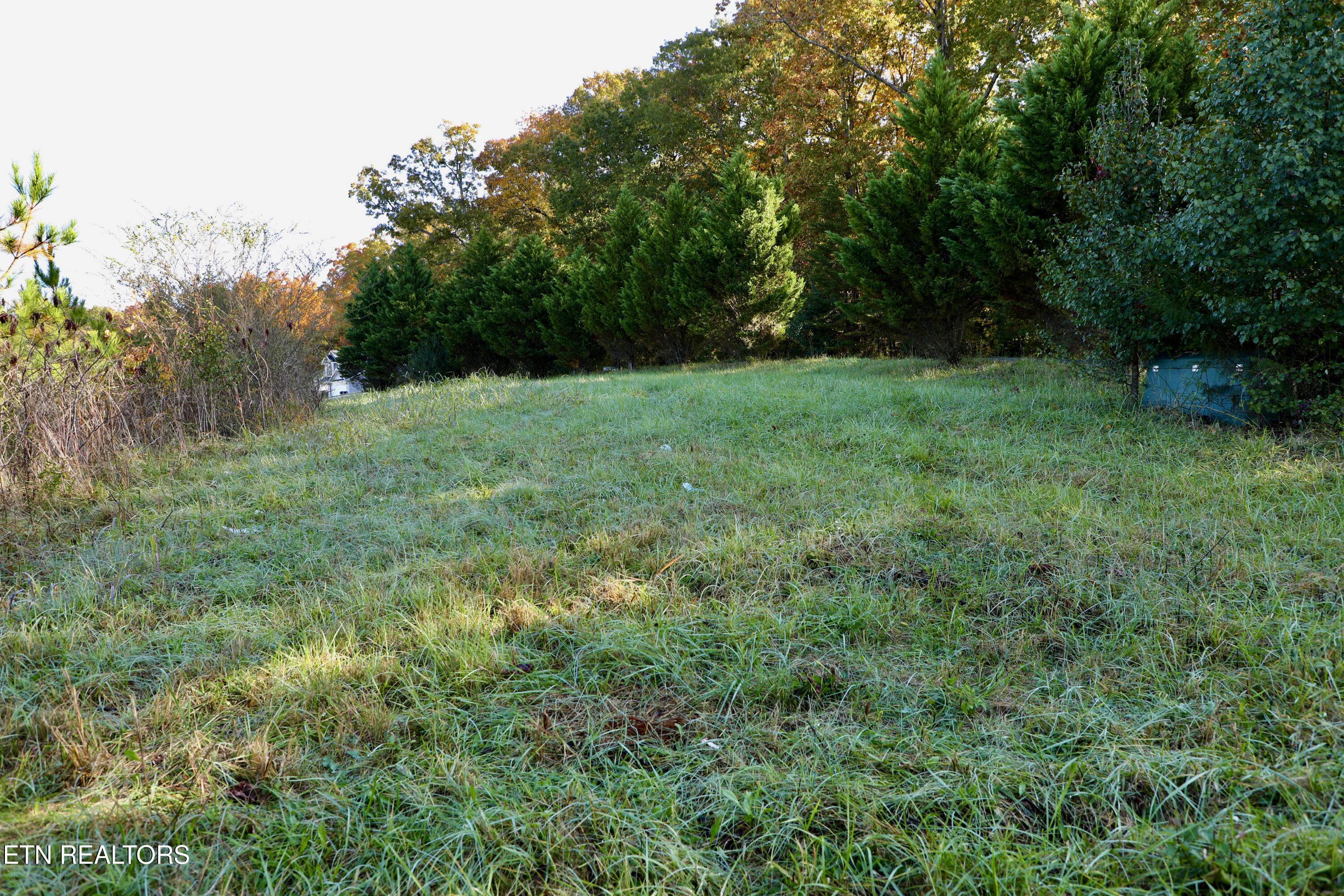 Park Avenue Madisonville TN 37354