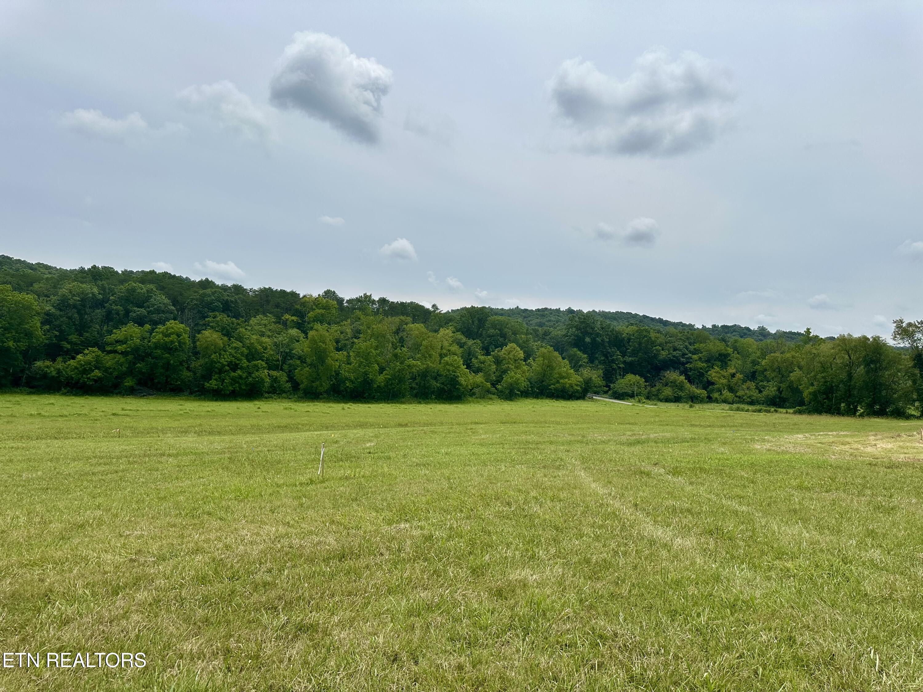 Fennell Road Blaine TN 37709