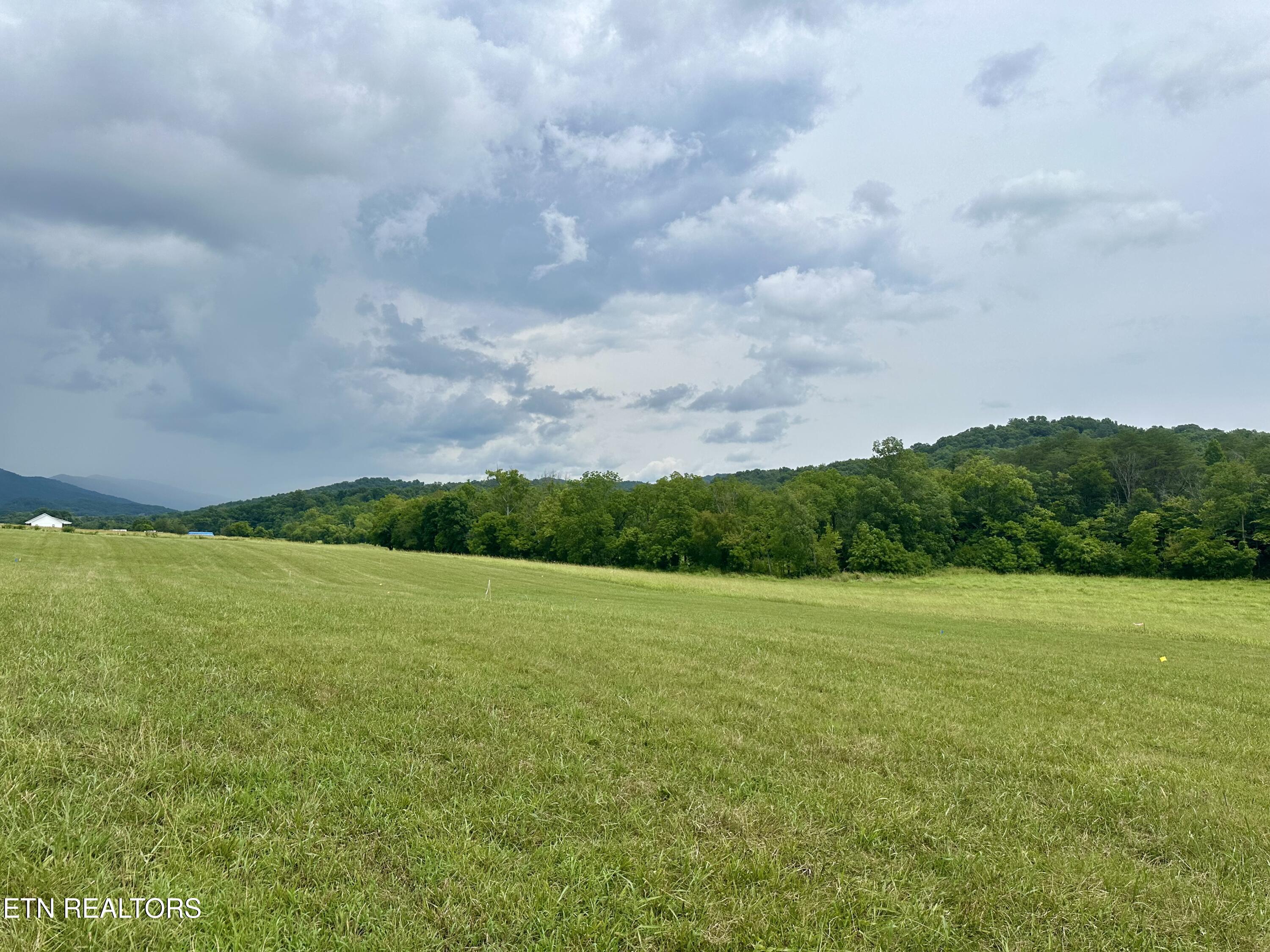 Fennell Road Blaine TN 37709