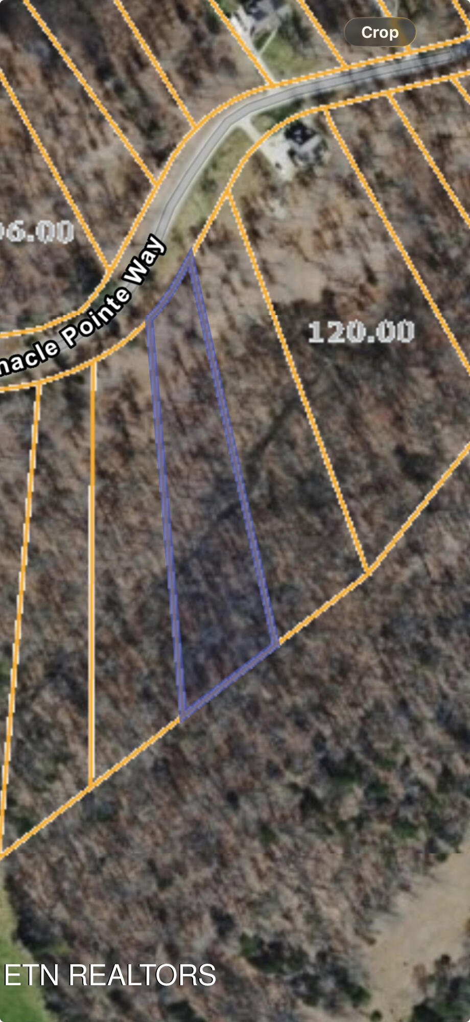 Lot 79 Pinnacle Pointe Way Sharps Chapel TN 37866